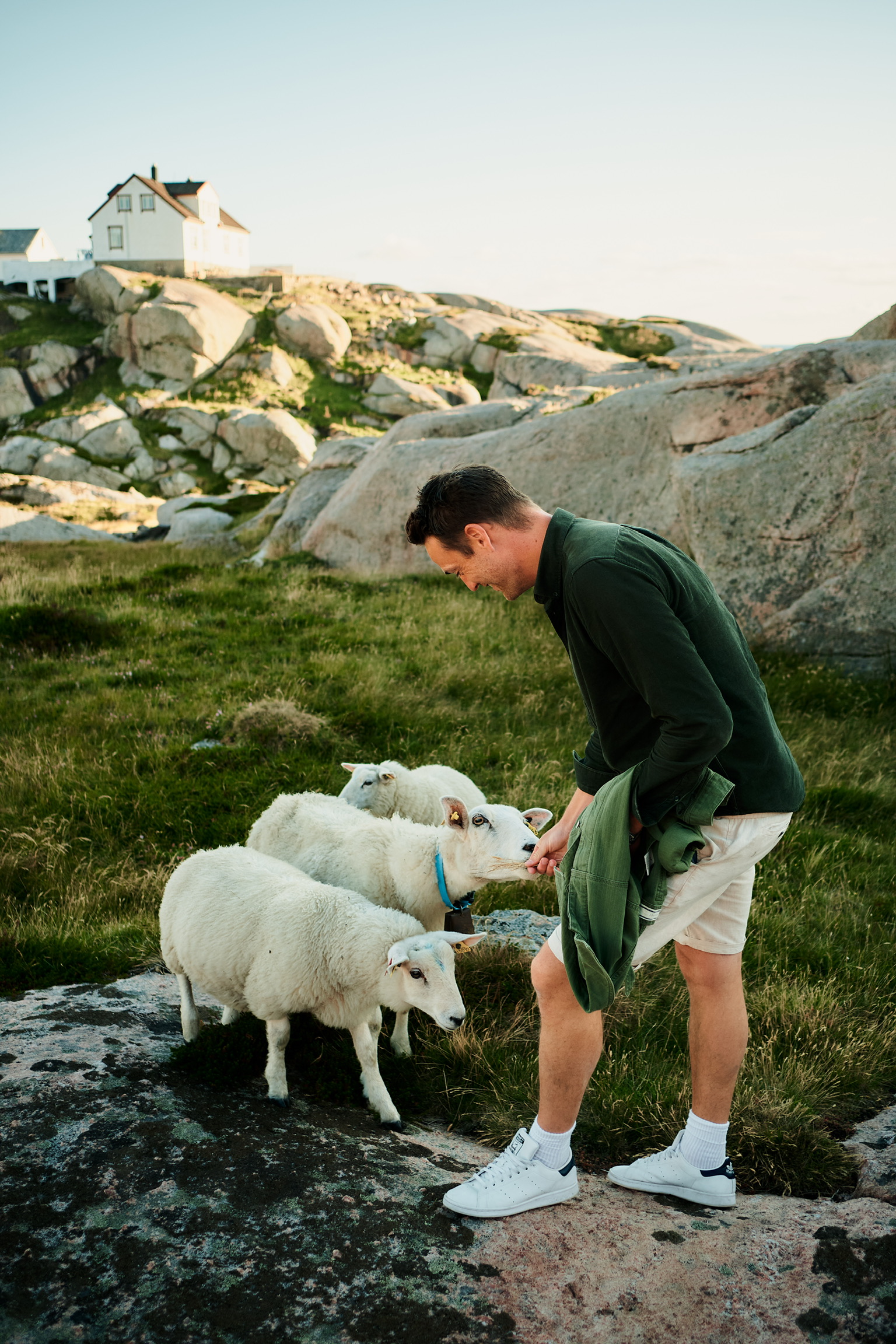 Torbjørn med sauer på kysten av Sørlandet