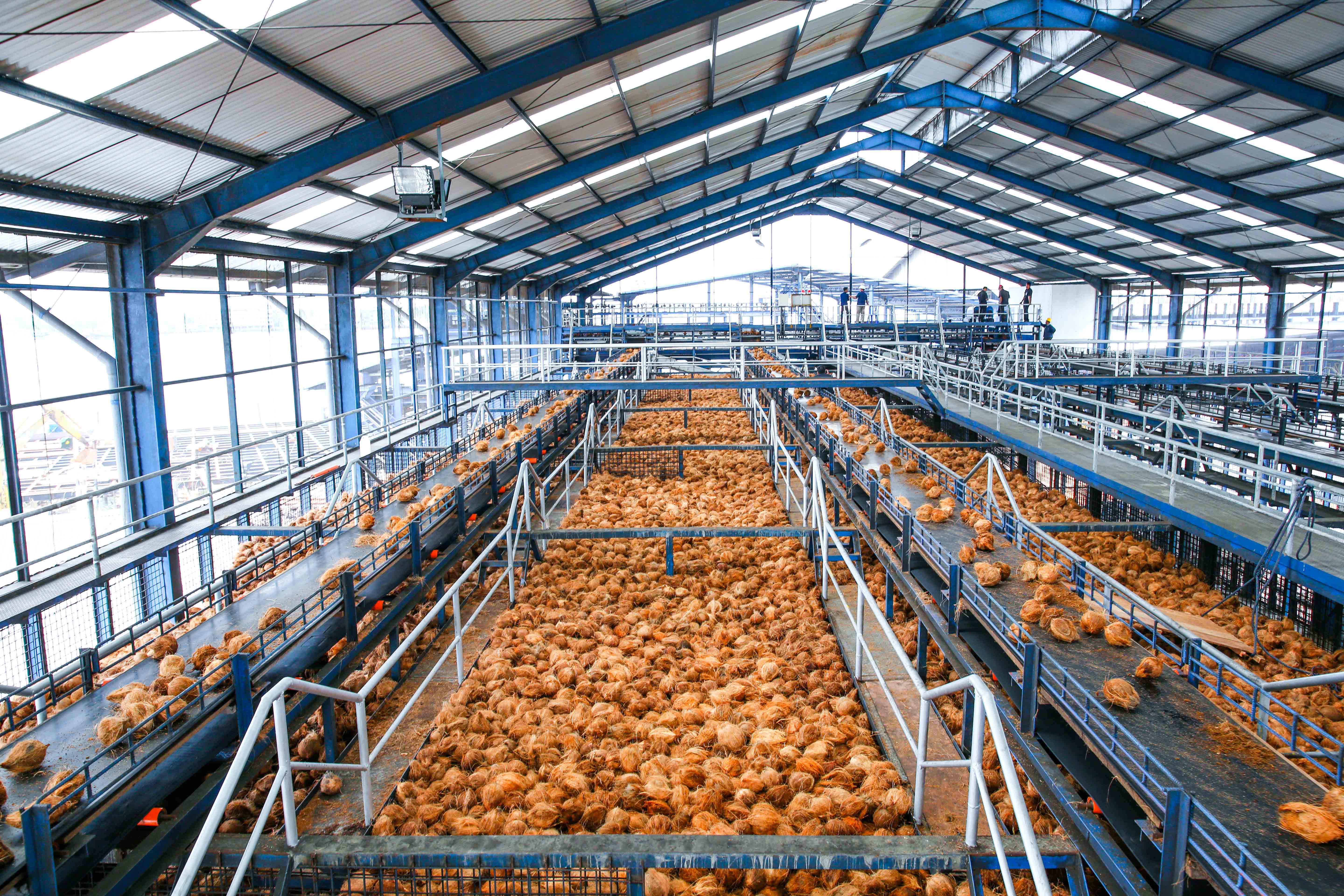 Large-scale desiccated coconut production facility with 250 MT monthly capacity