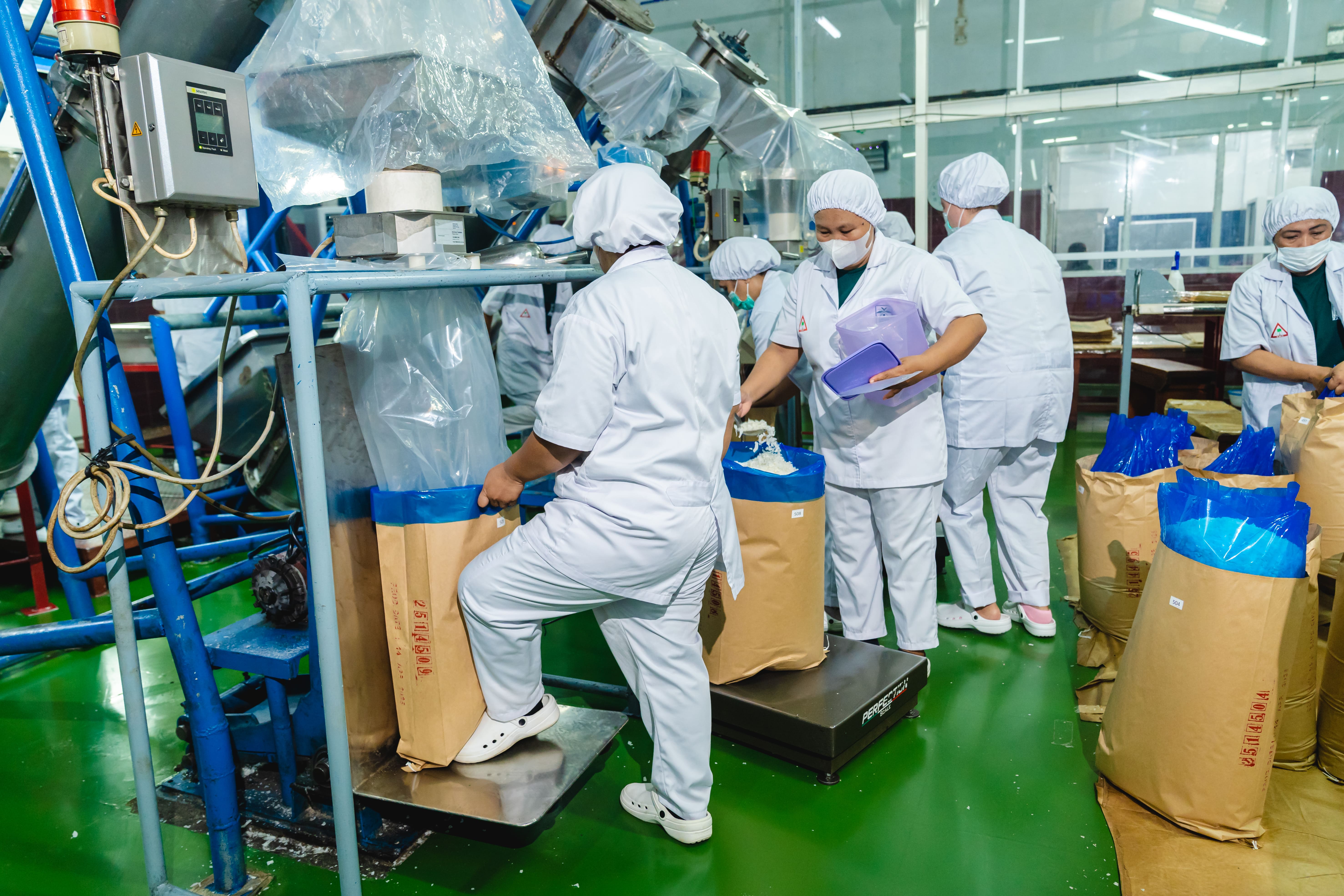 Professional desiccated coconut packaging line with quality assurance