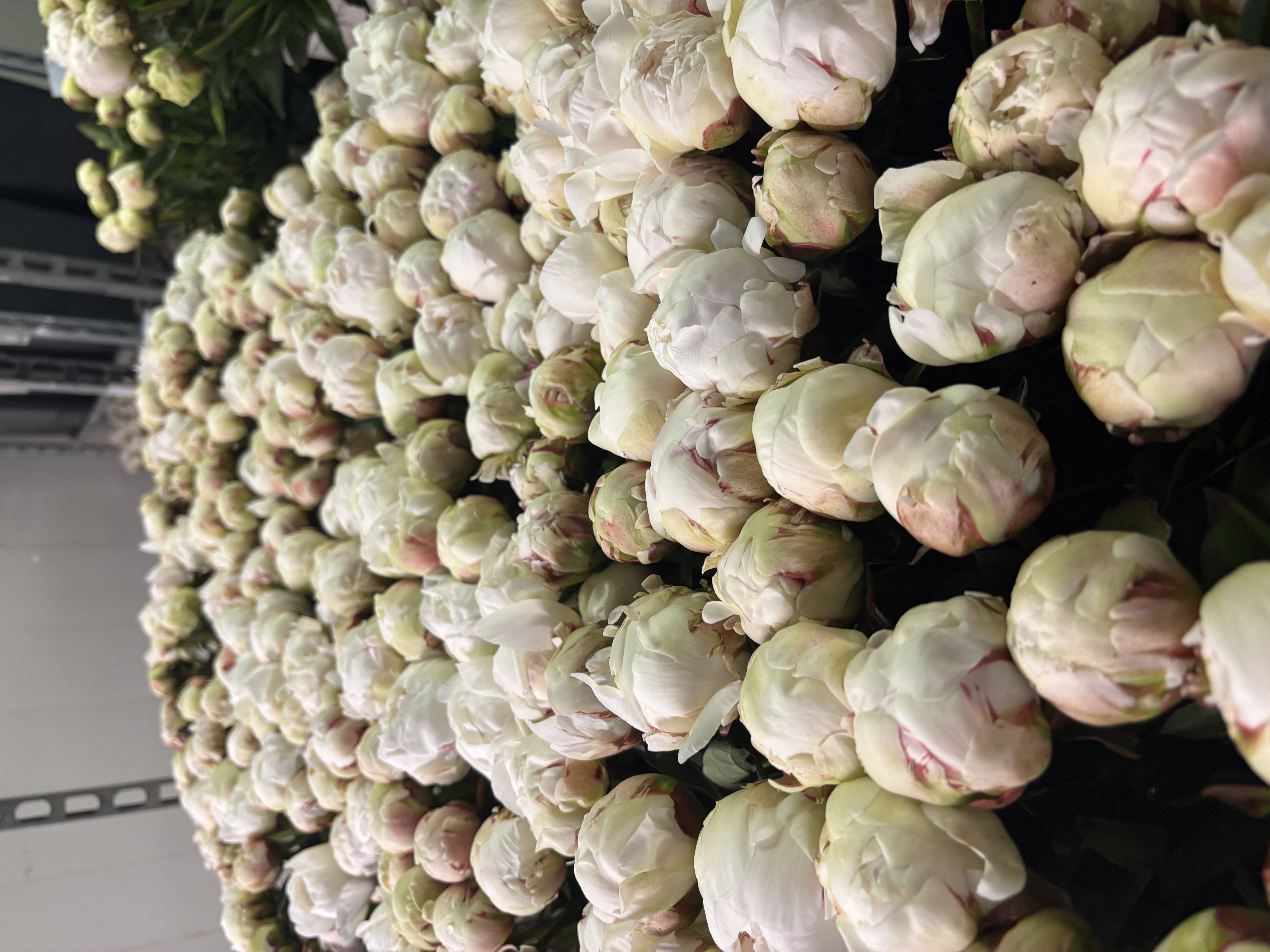 PRODUZIONE LOCALE