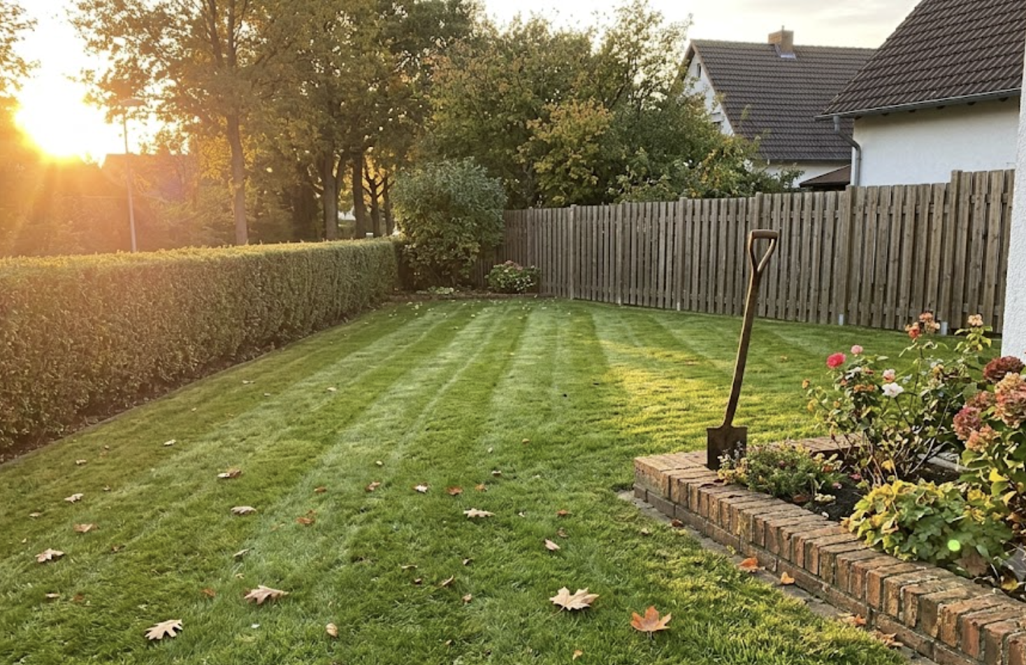 Gepflegter Garten mit frisch gemähtem Rasen im Abendlicht