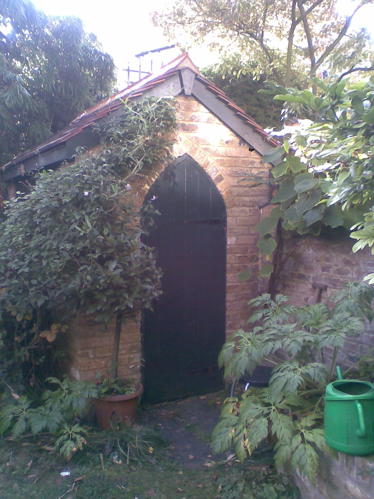 Garden landscaping project