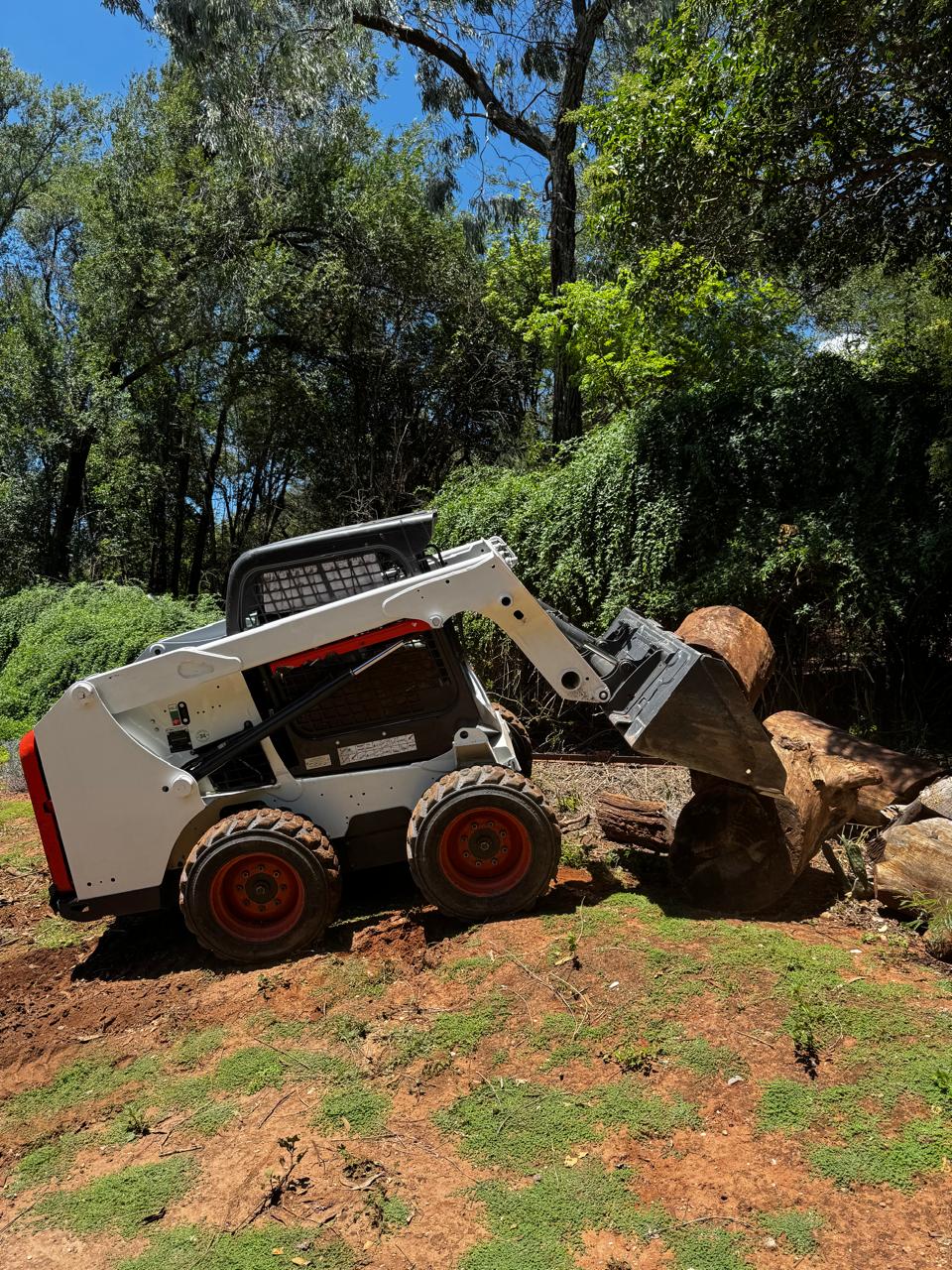 Minicargadora en operación