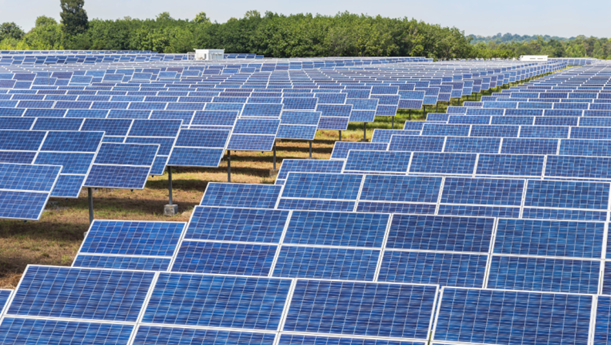 Large ground-mounted solar array with rows of panels on open land, a real Solarise installation