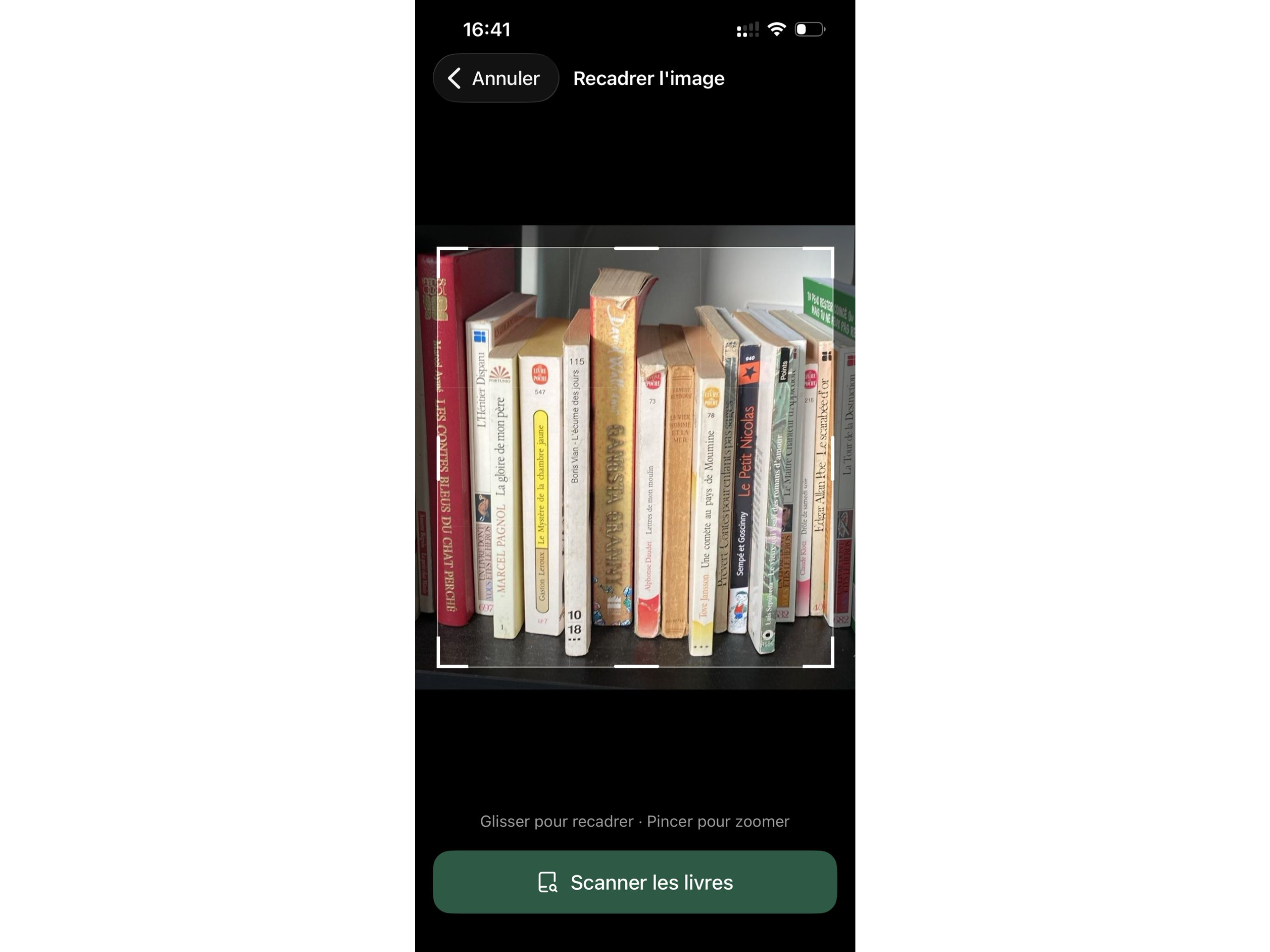 Bookami scanning interface showing actual book recognition in action