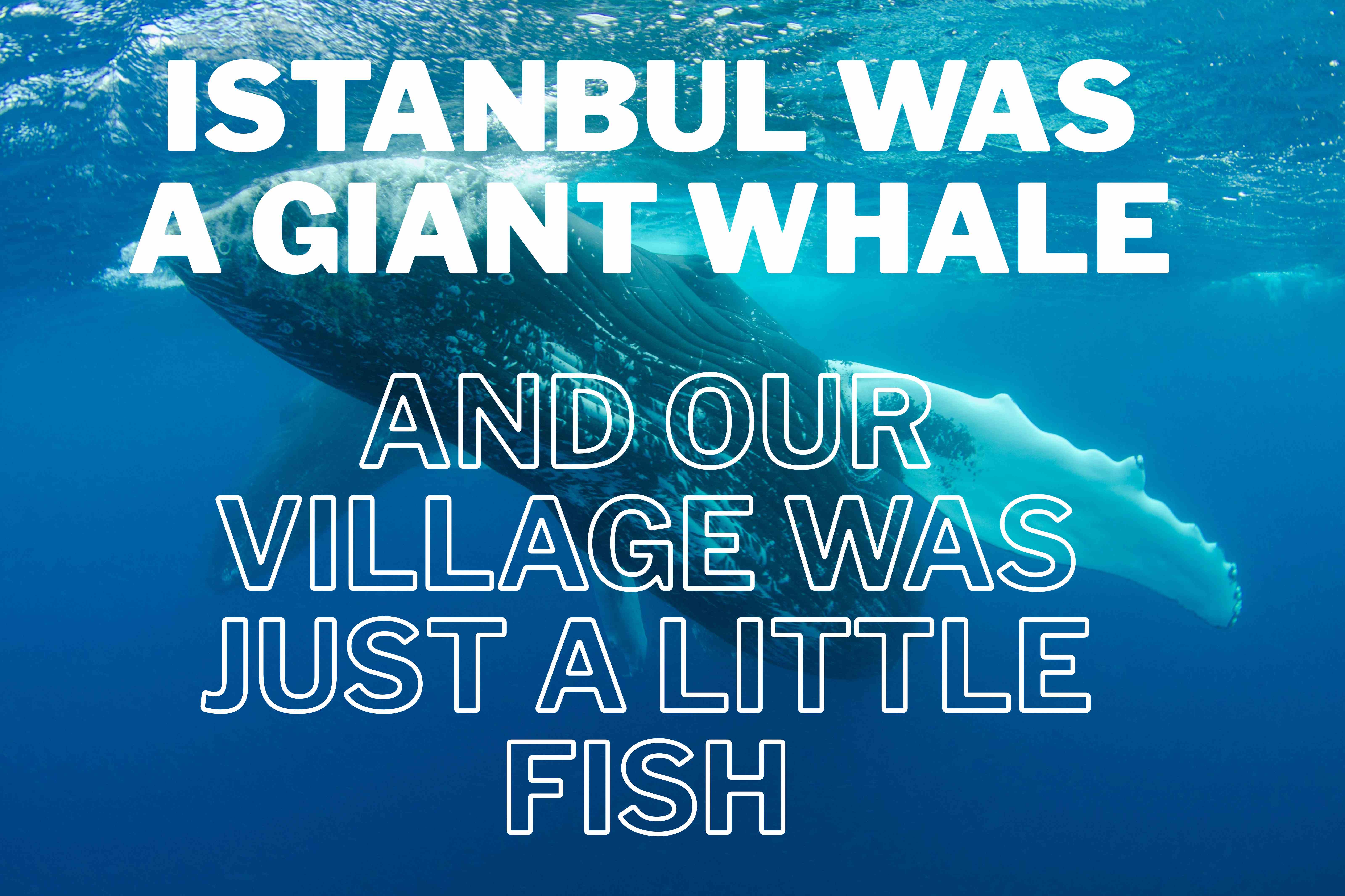 Vol. 1: Expanding Water, Deepening Injustice