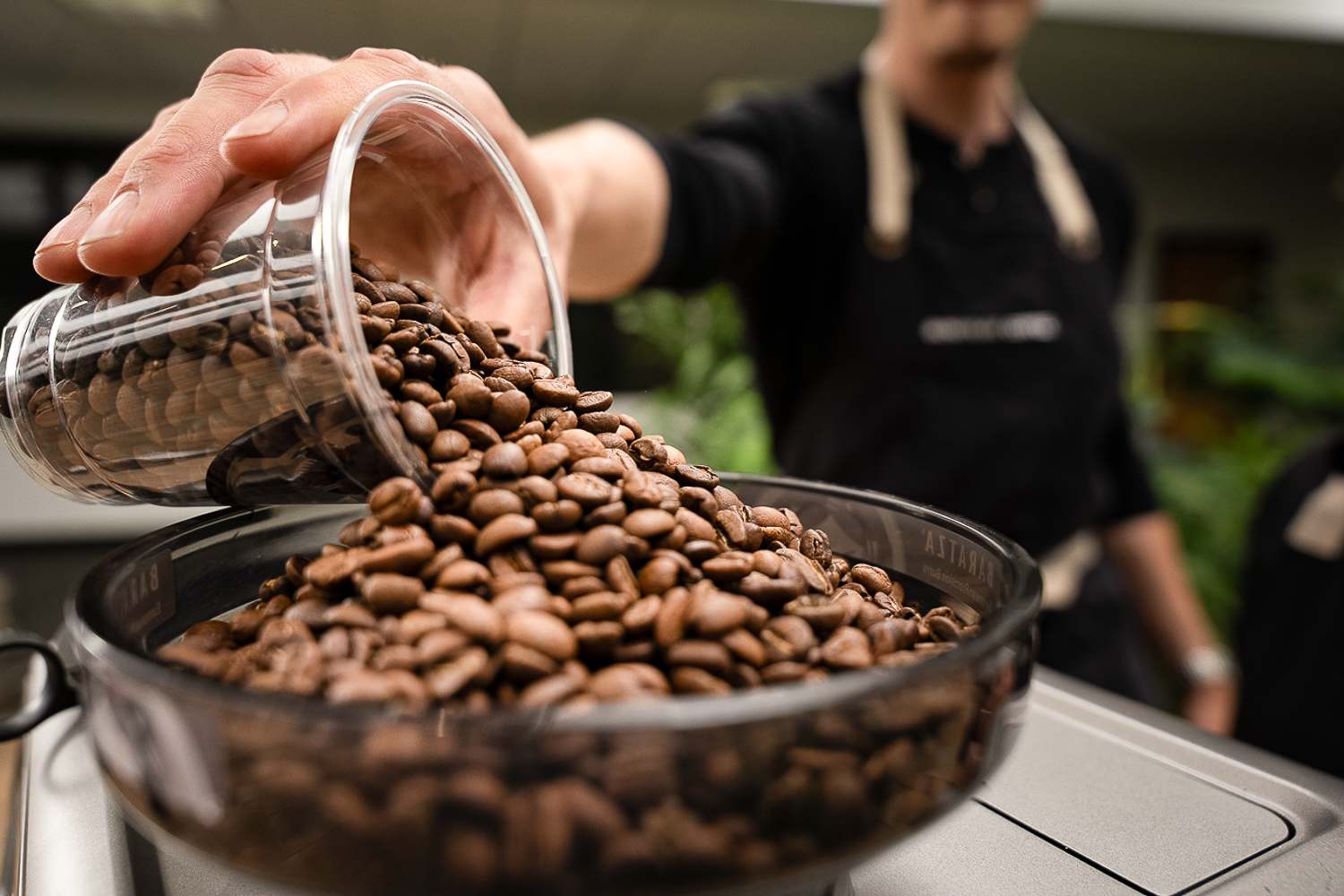 Coffee beans being carefully measured