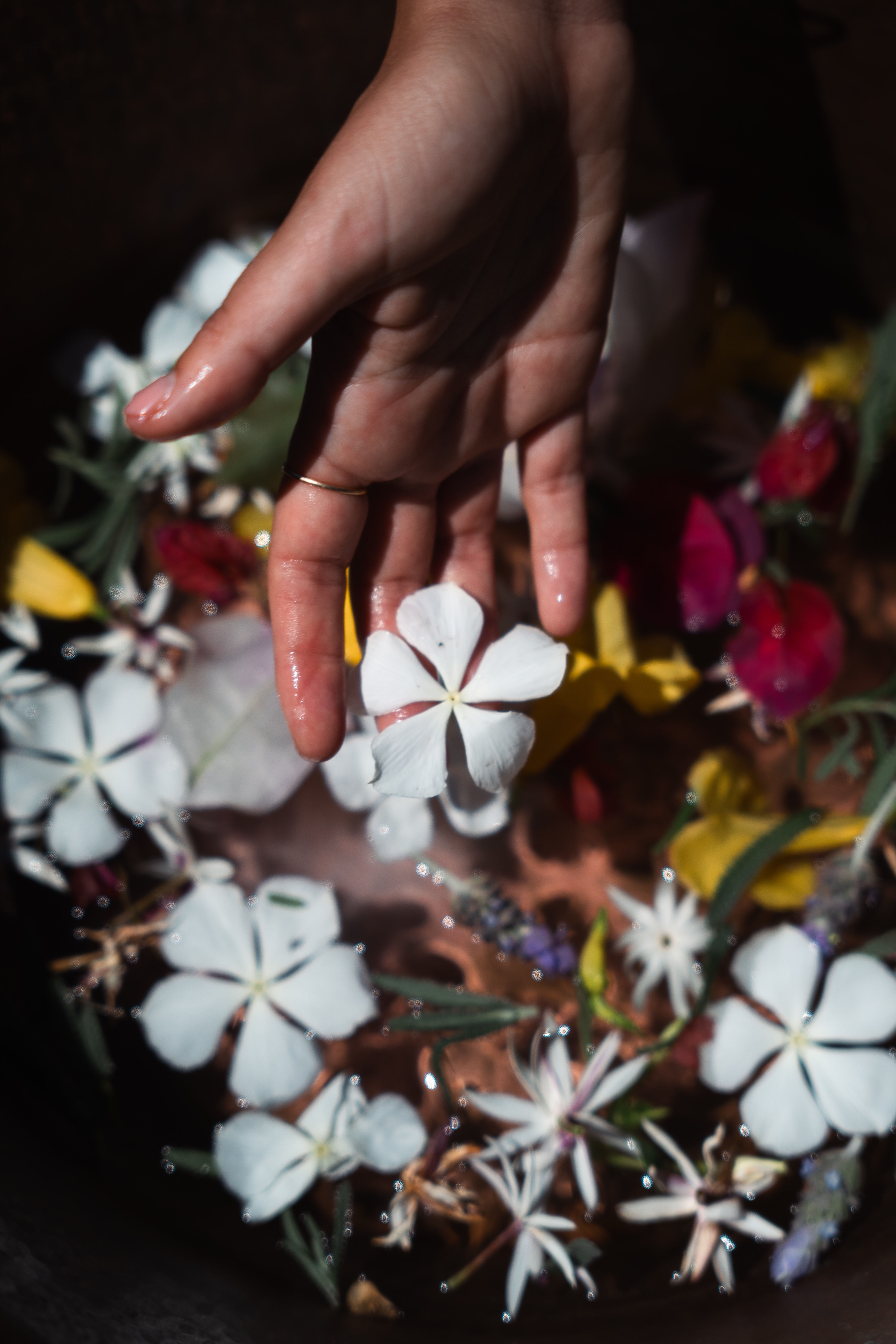 Floral foot soak ritual with hands over water and floating flowers
