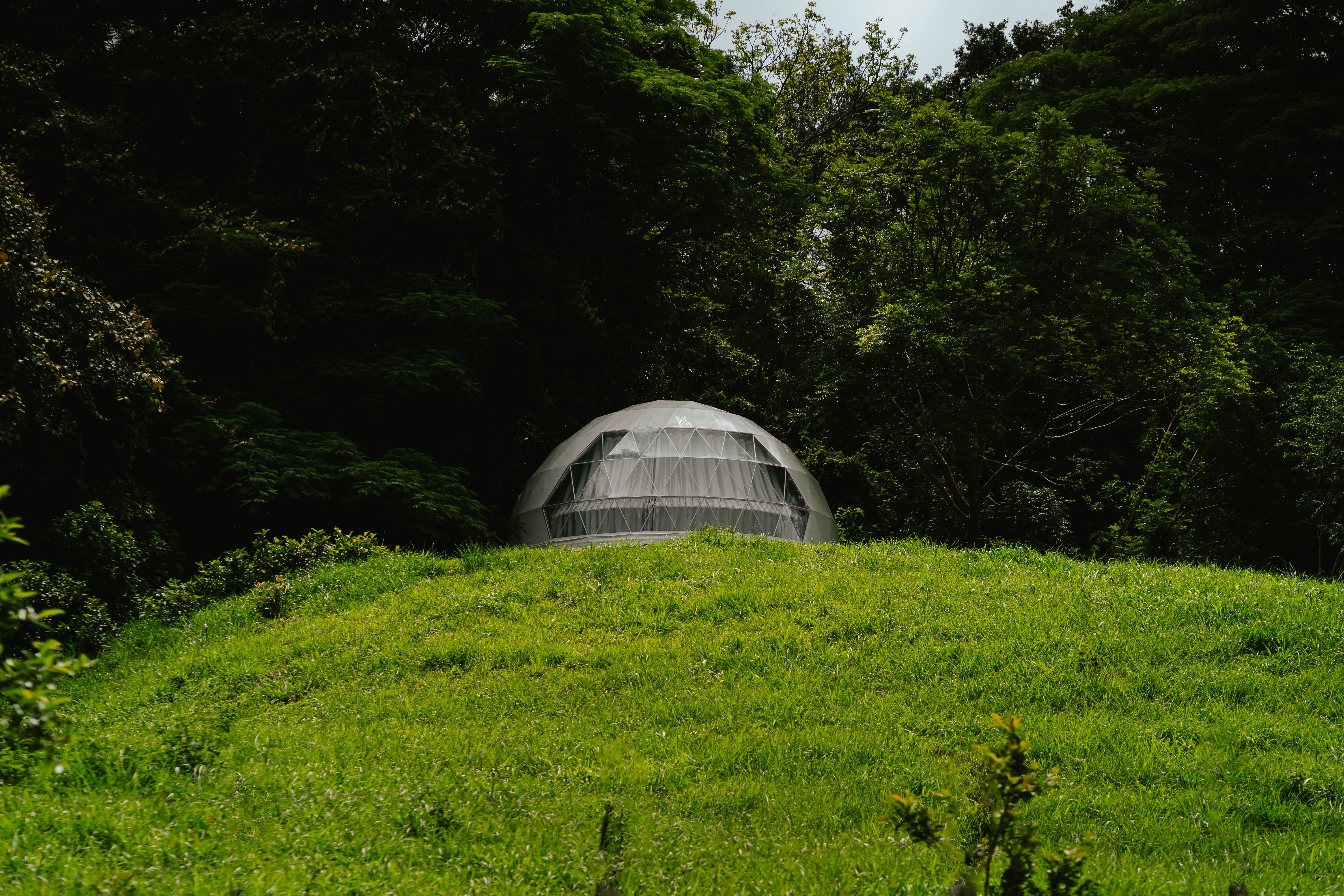 Geodesic glamping dome on green hillside surrounded by forest