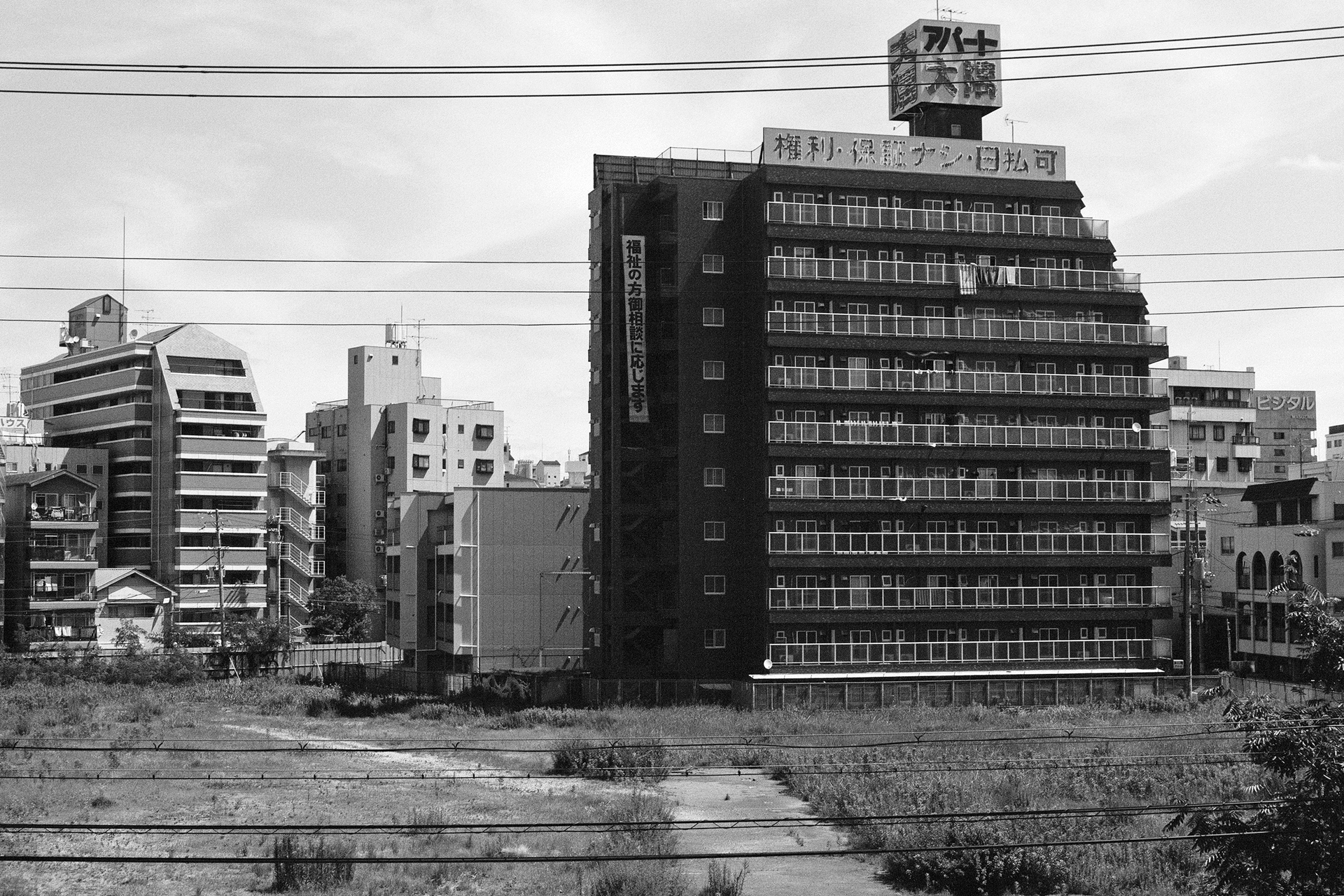 Black and white view from castle with golden shachihoko fish sculpture overlooking city NHK building