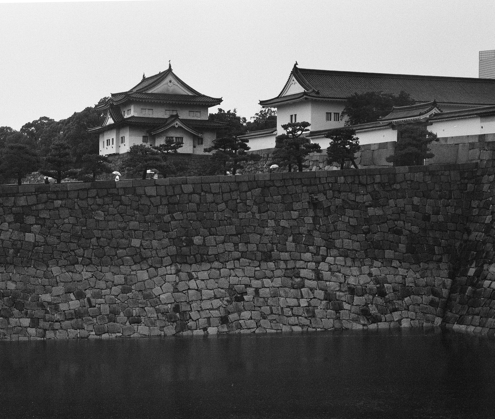 Black and white castle turret corner tower on curved stone wall foundation over moat pine trees