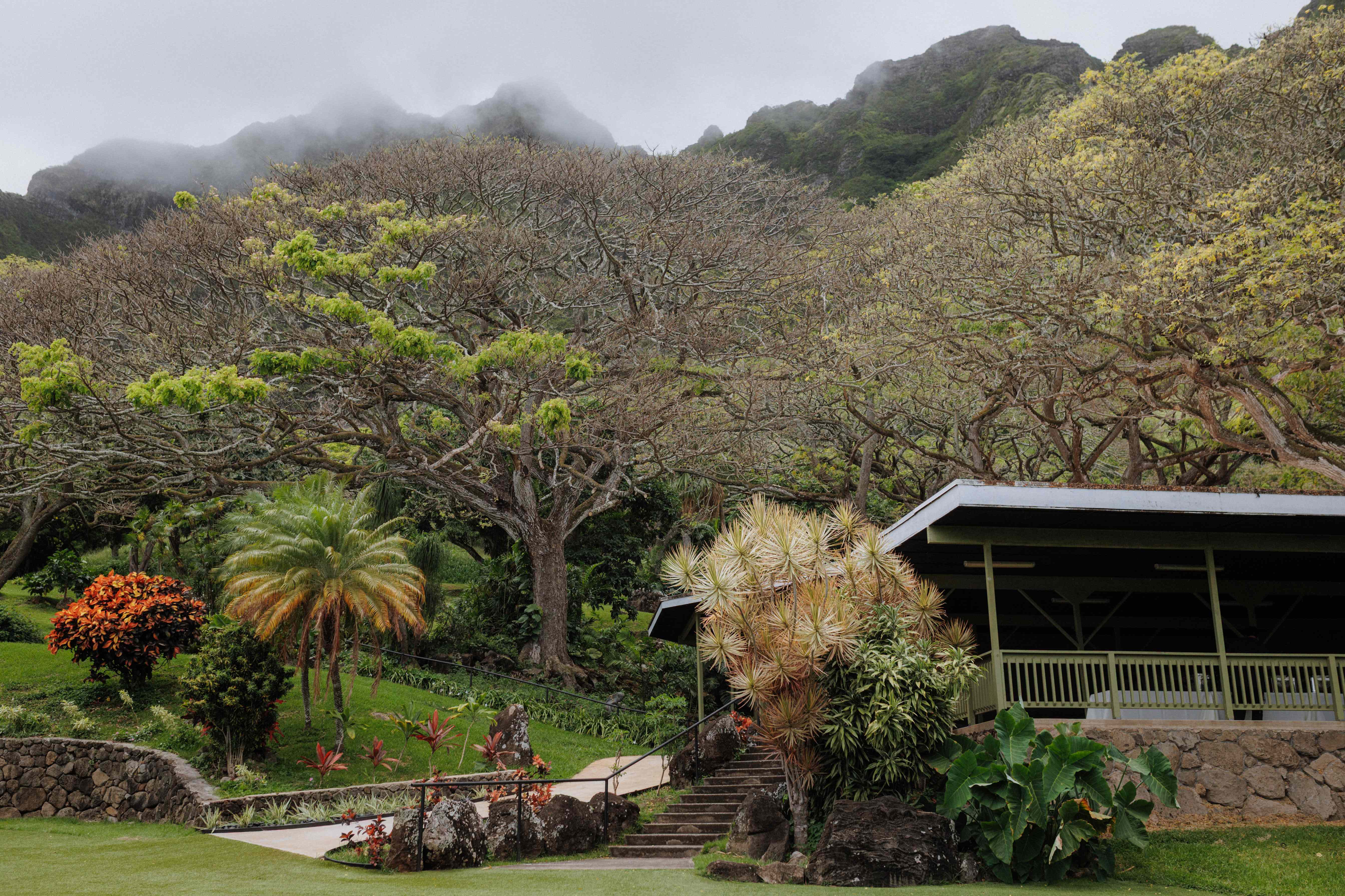 Kualoa Ranch - Image 2