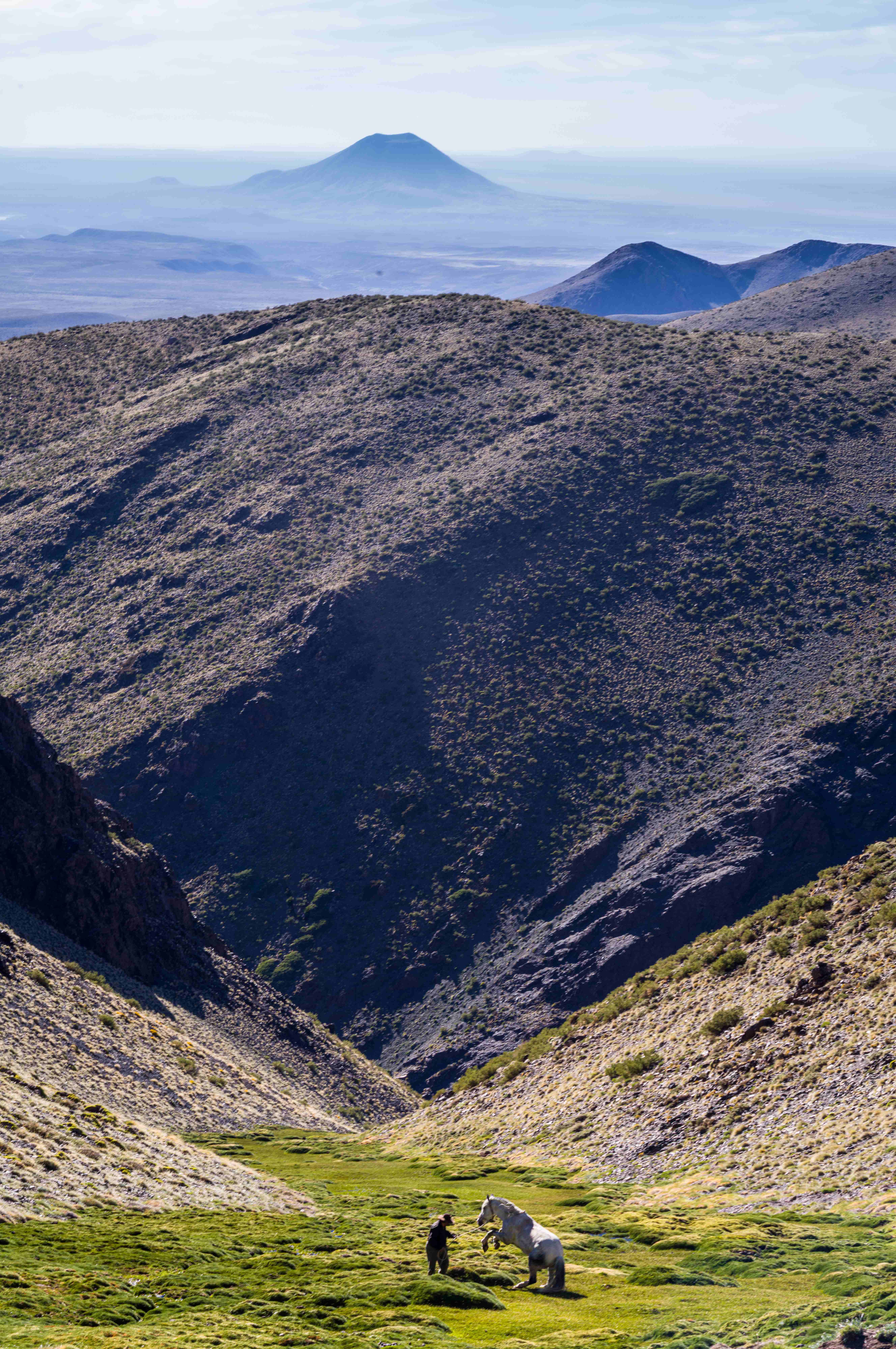 Jinete con caballo blanco en valle verde con volcán de fondo
