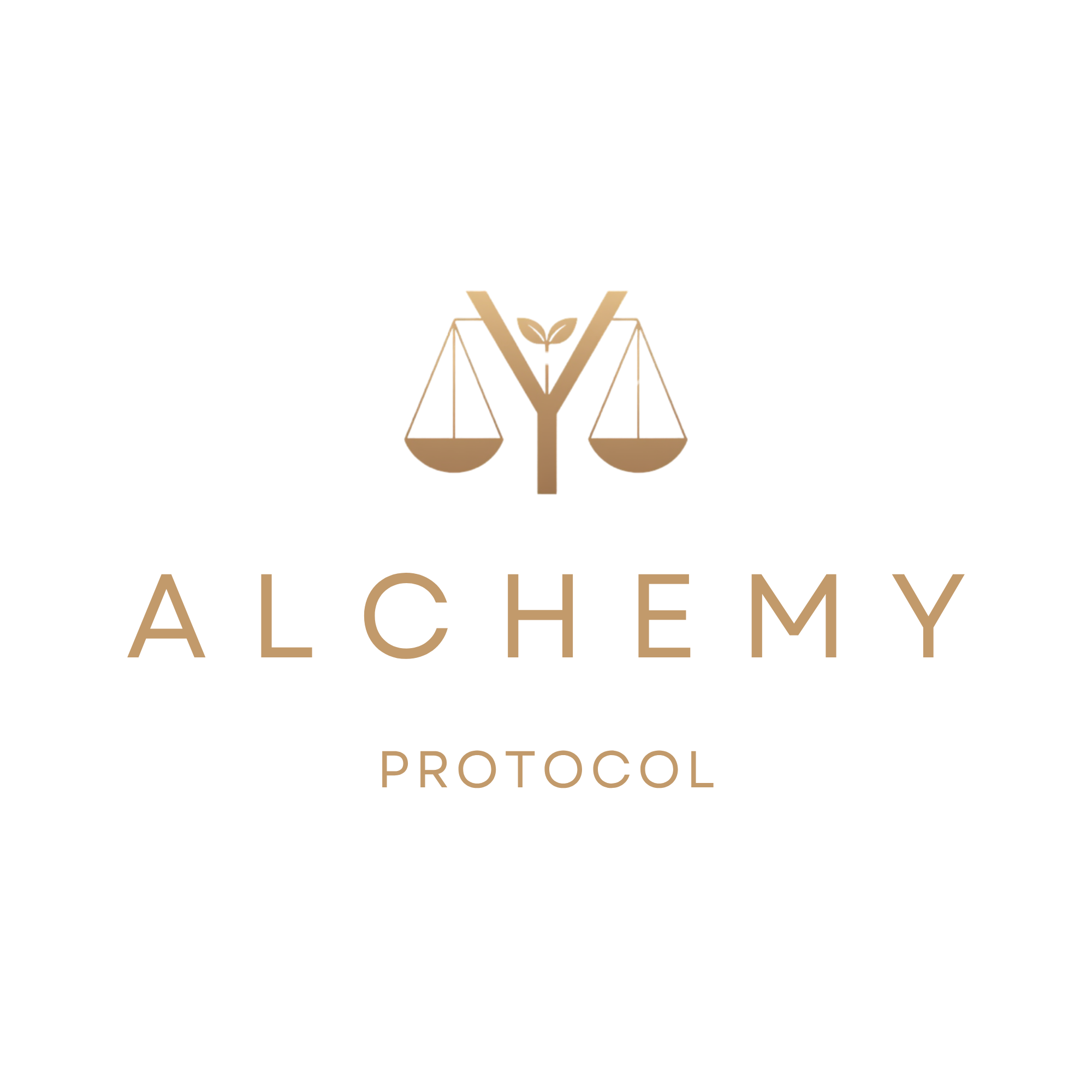 Alchemy Protocol