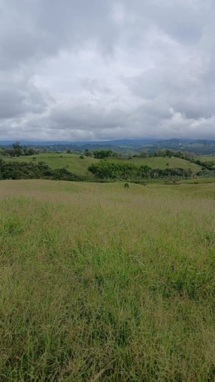 Llanos de la Colina