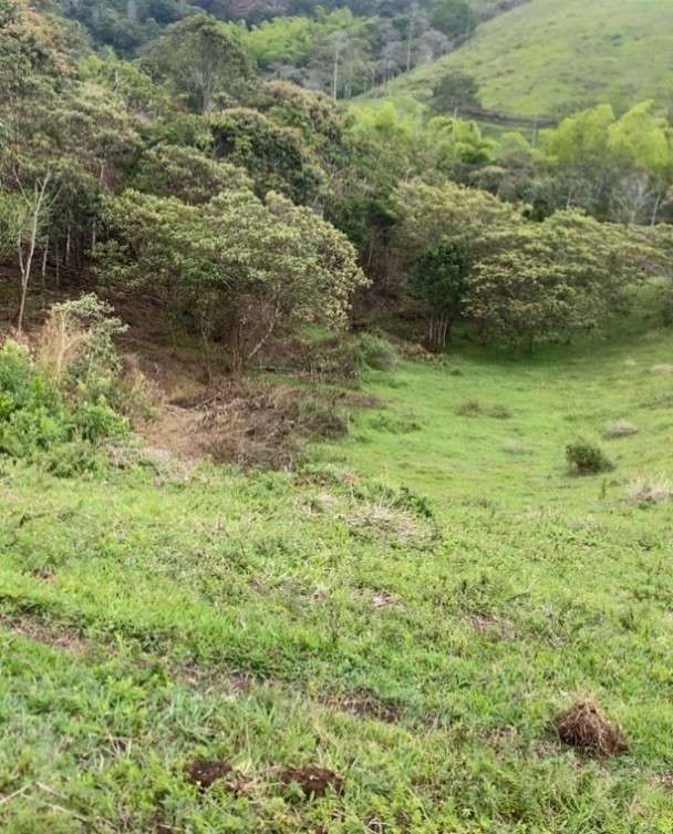 Llanos de la Colina - Miniatura 4