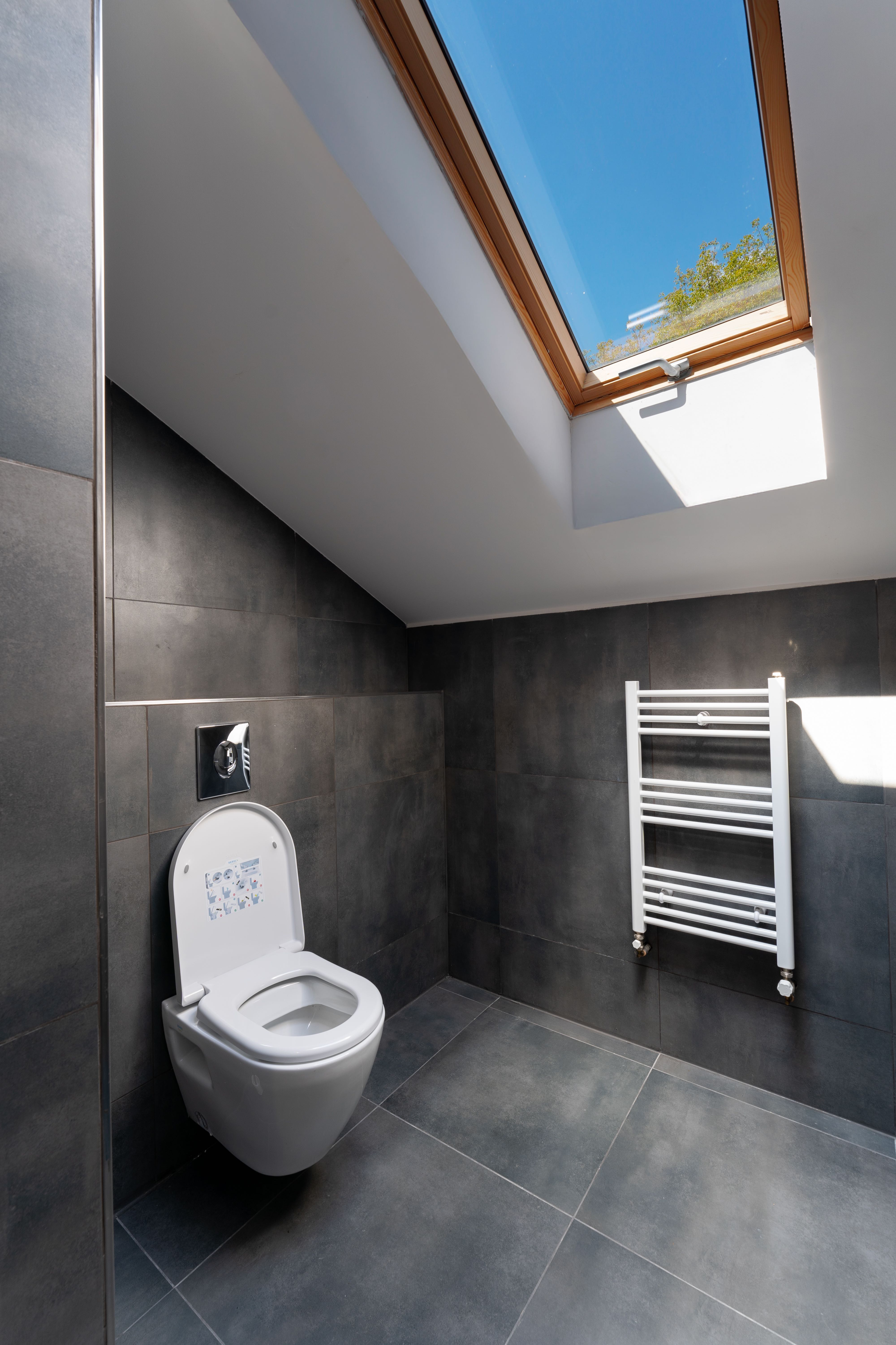 Attic toilet