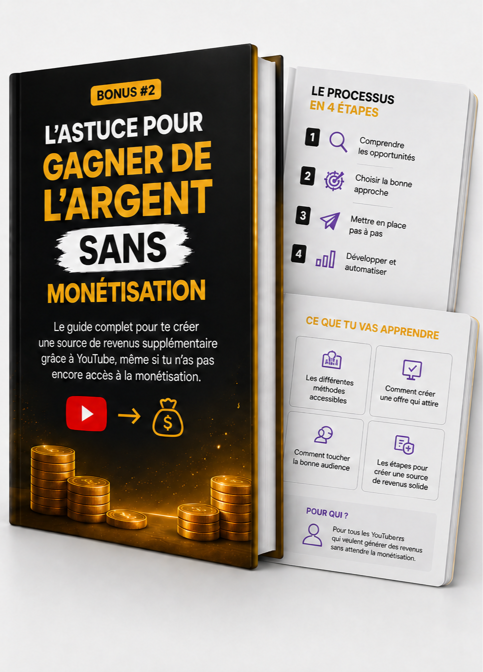 Livre bonus numéro 2 sur les revenus YouTube sans monétisation