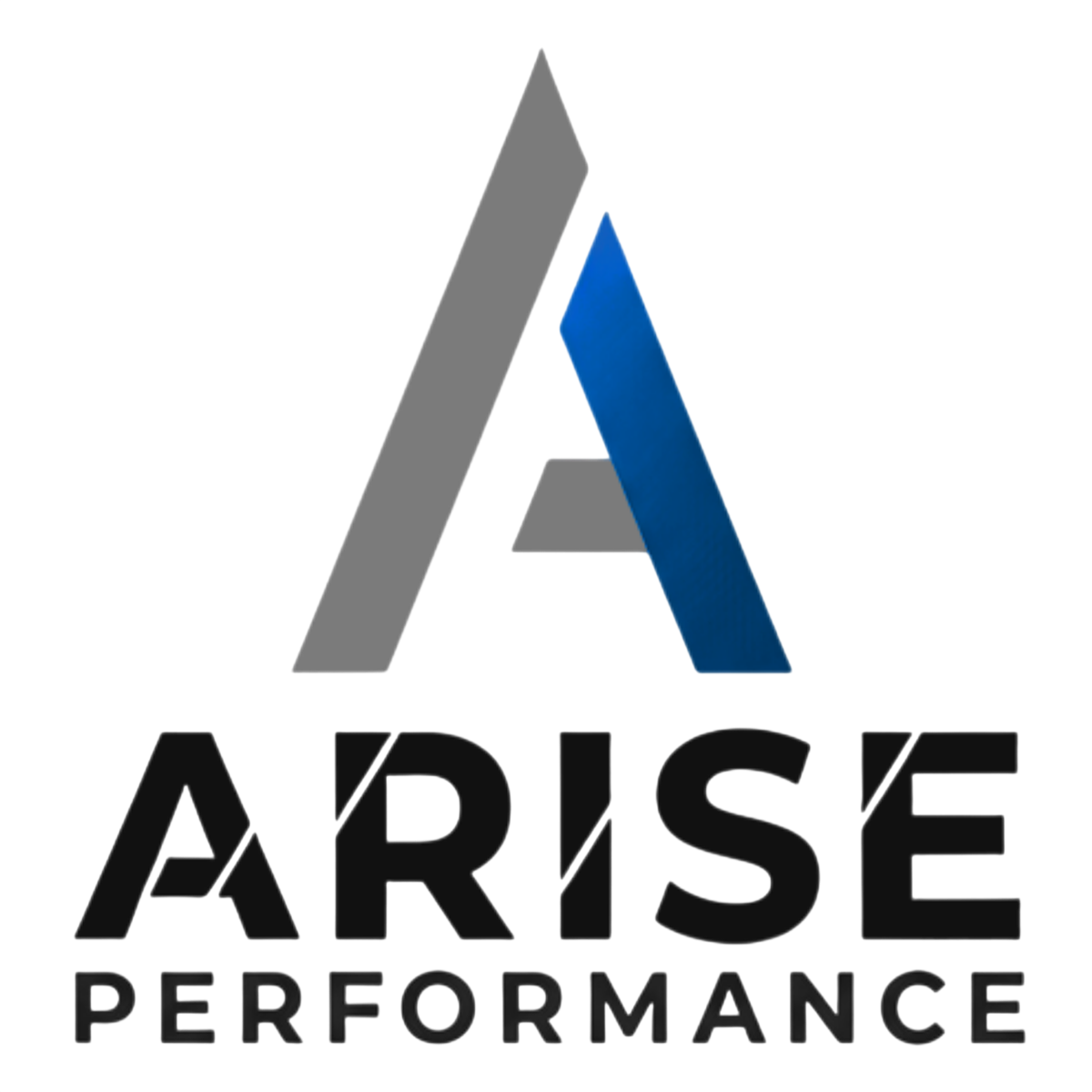 ARISE Performance