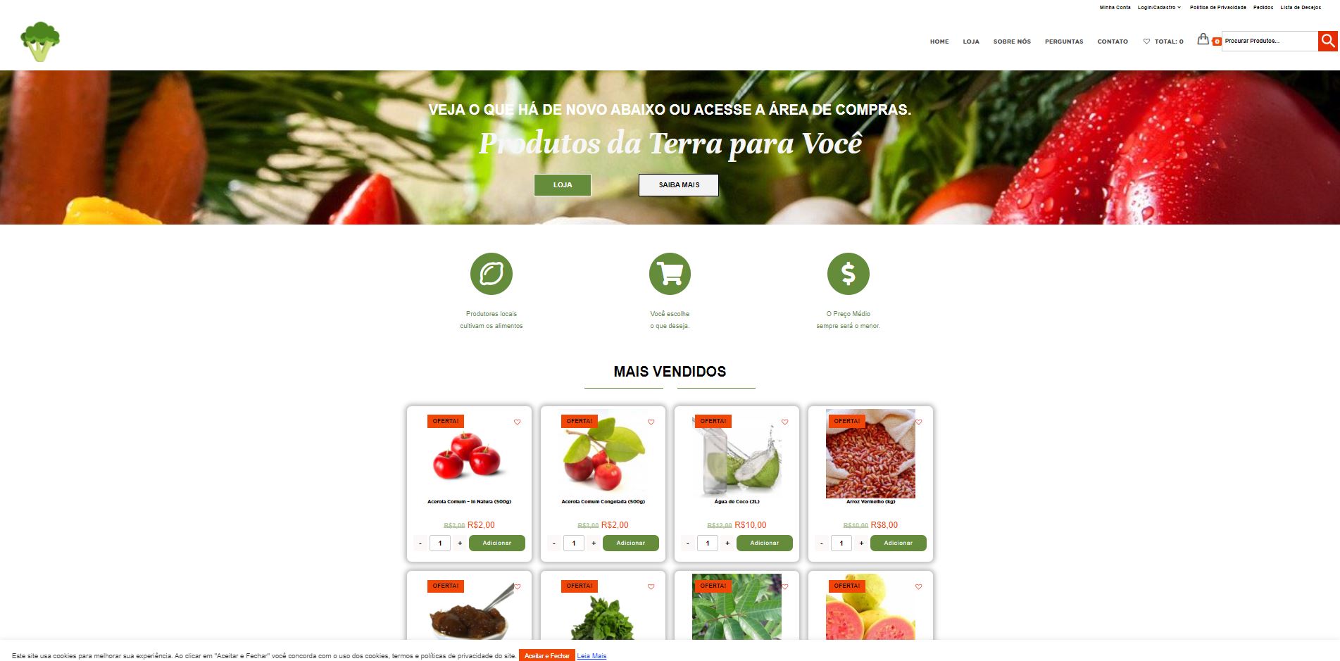 Criação de Sites