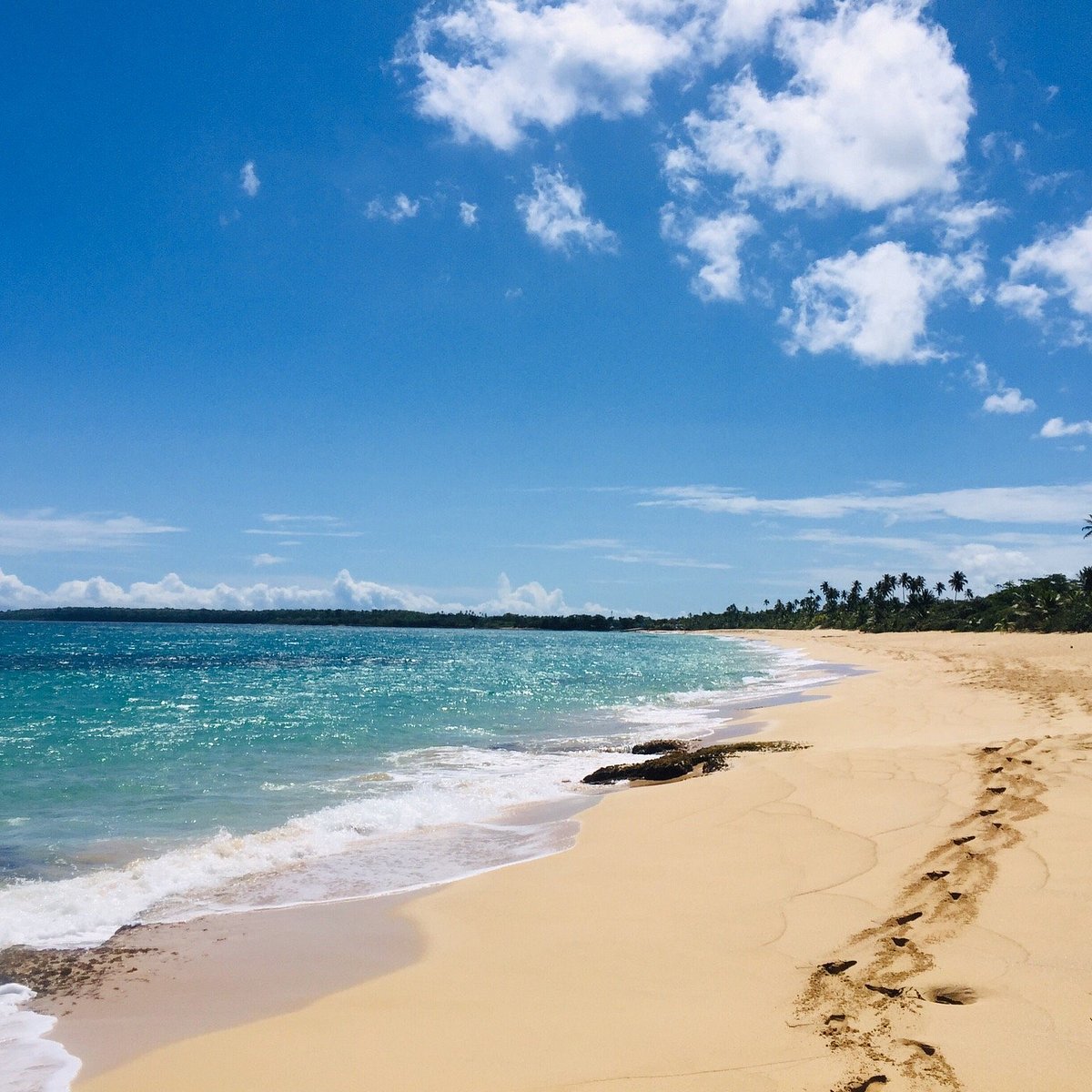 Serene golden sand beach at Los Tubos with turquoise waves and palm trees