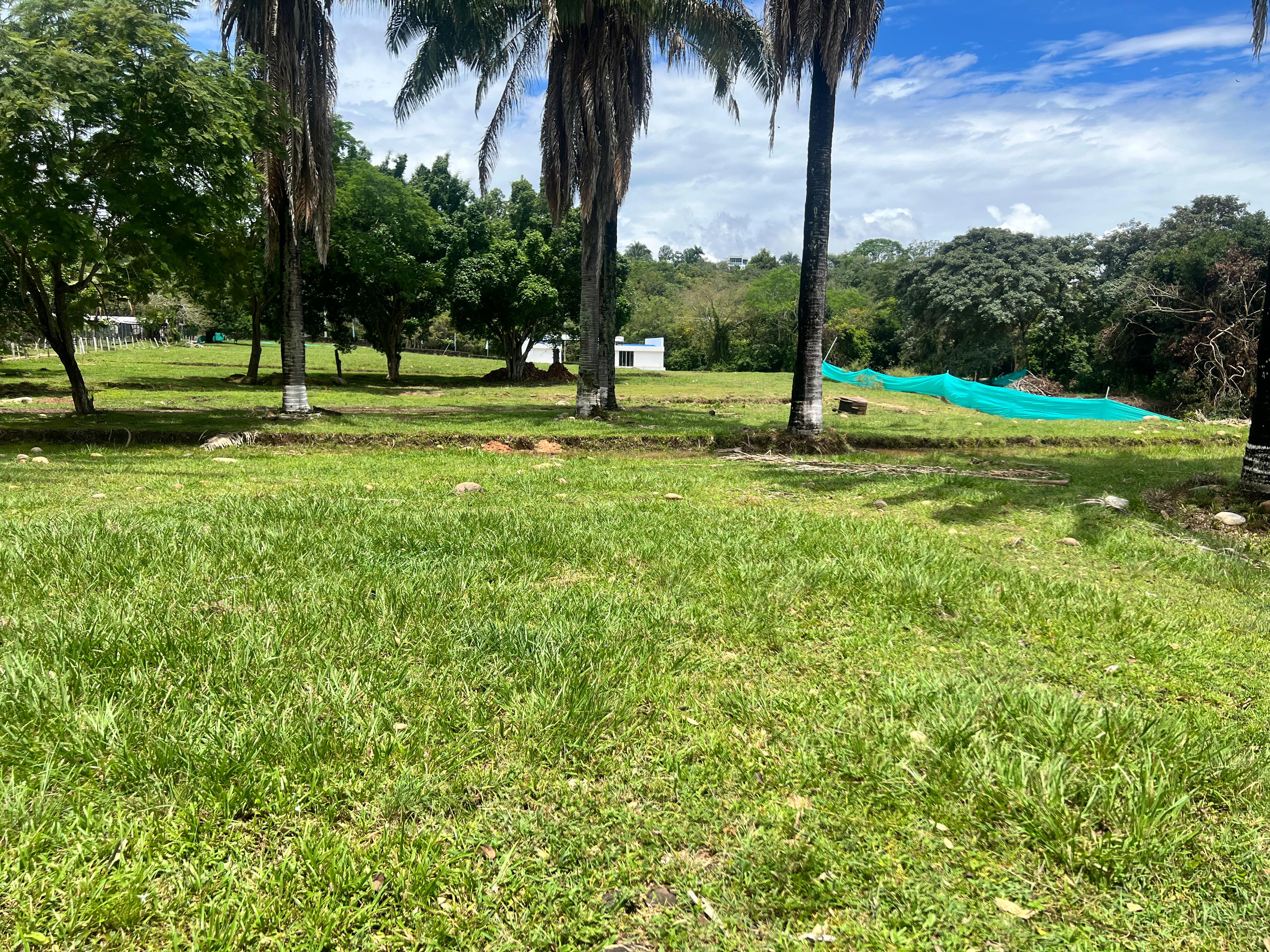 Lotes Melgar Ramblas - Miniatura 4