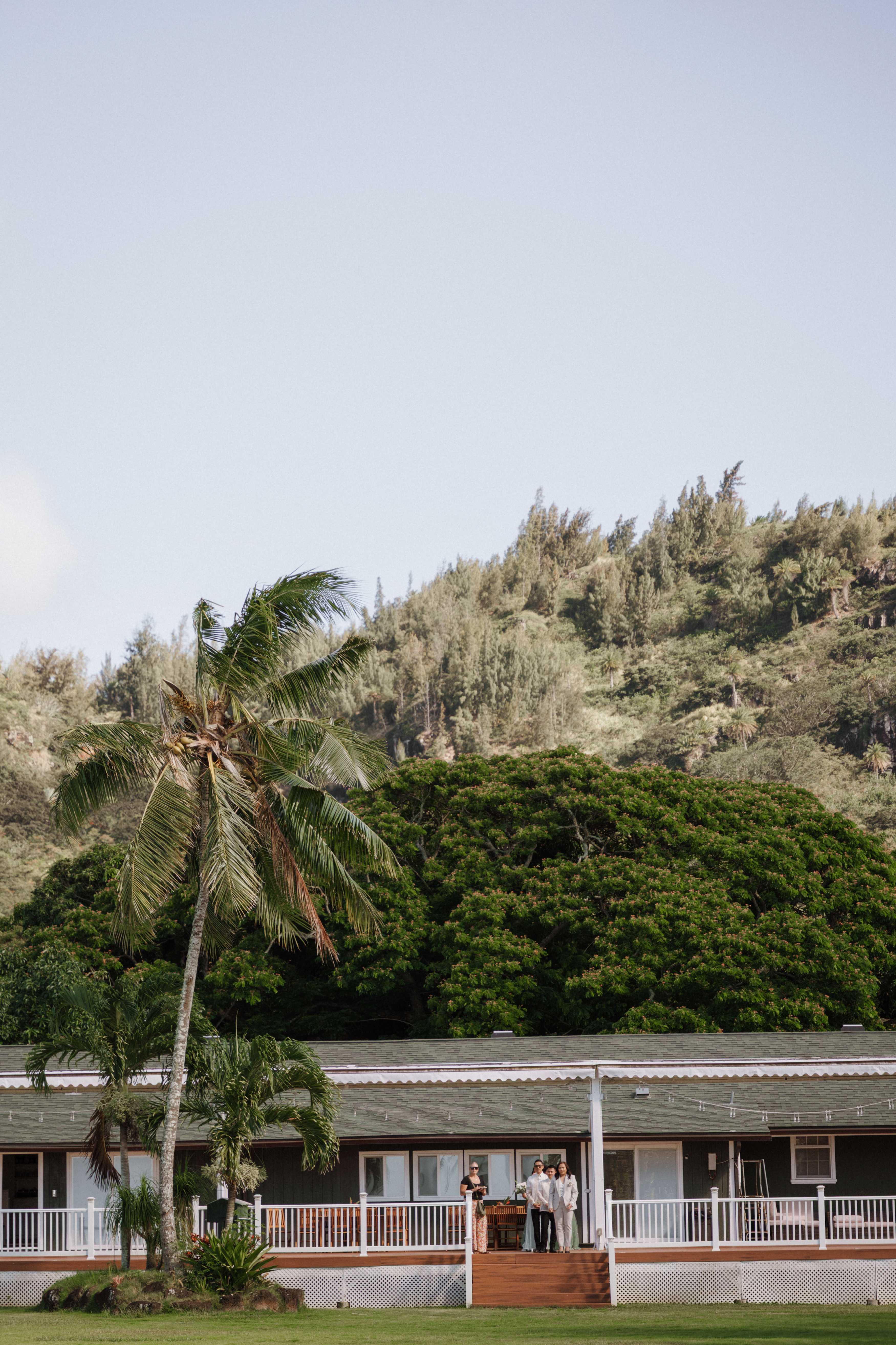Loulu Palm Farm Estate - Image 2