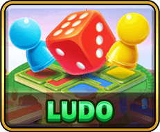 Ludo board game