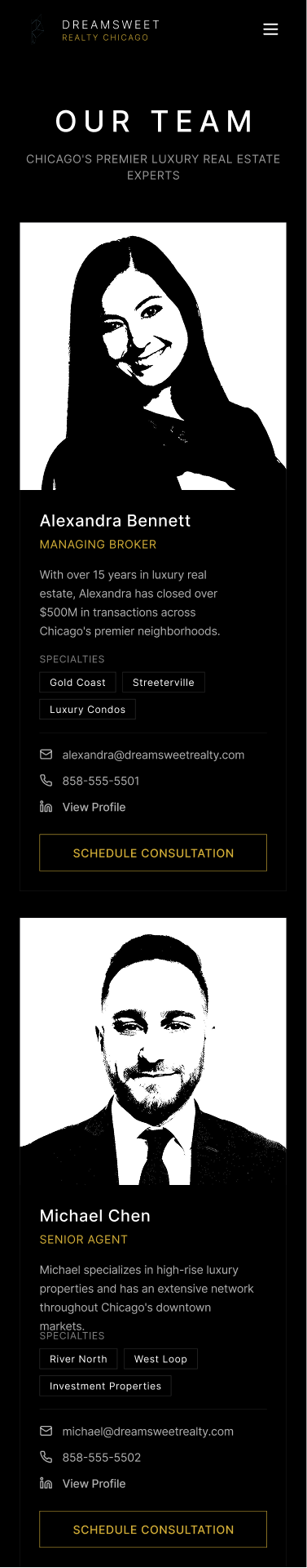 Our team page showing agents