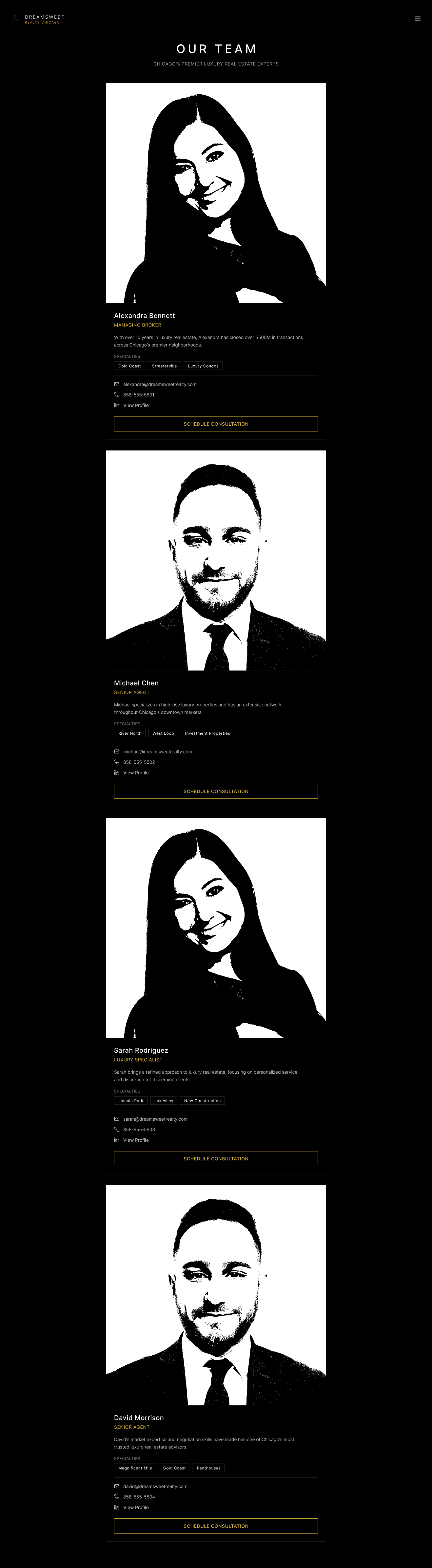Full team page with all agent profiles