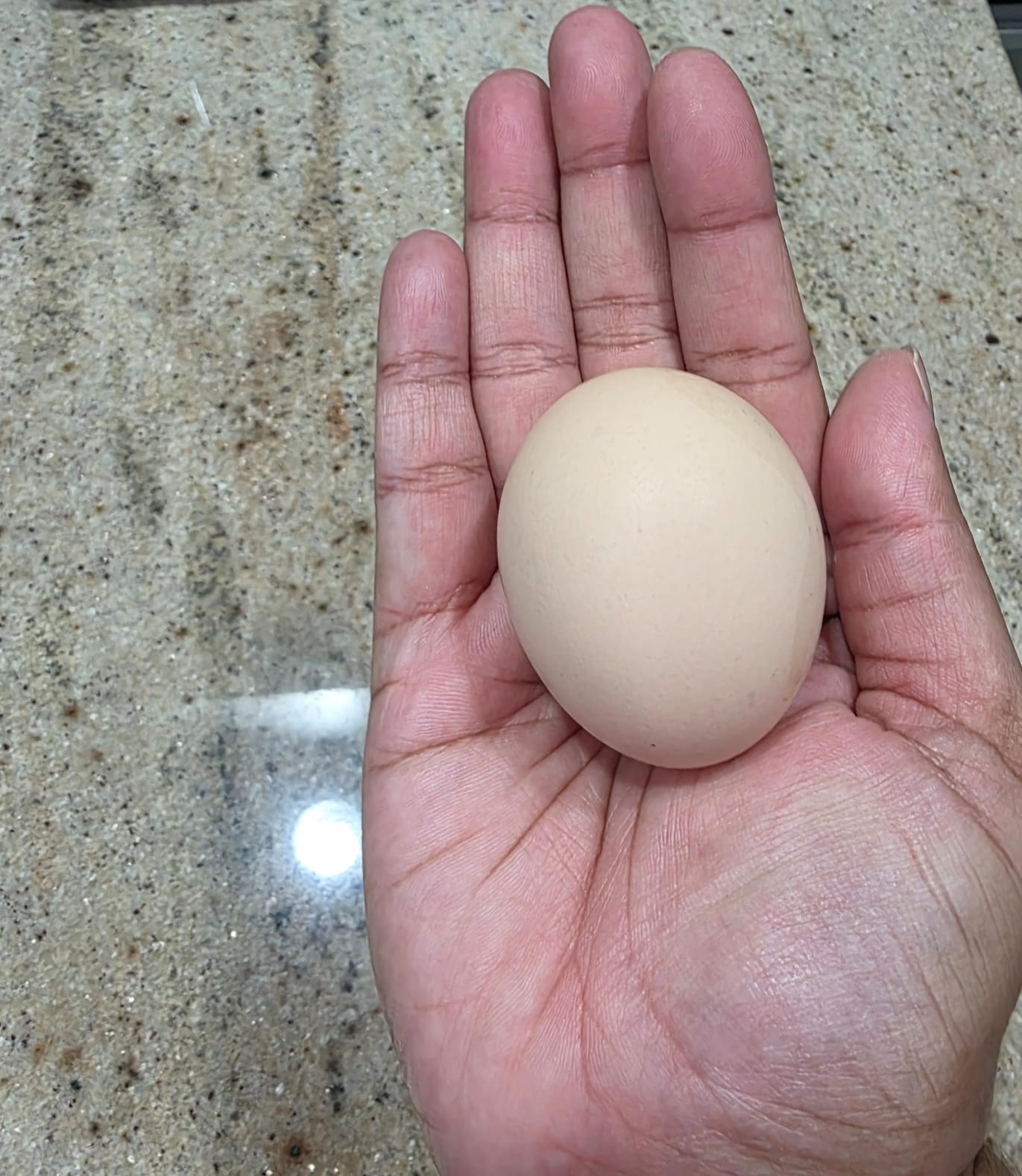 Medium Eggs