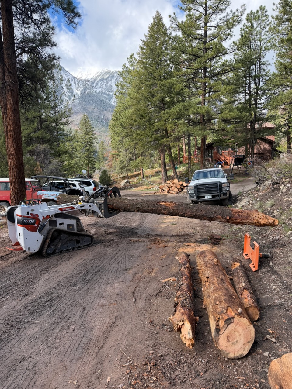 Bobcat MT100 mini track loader moving large log in mountain residential area