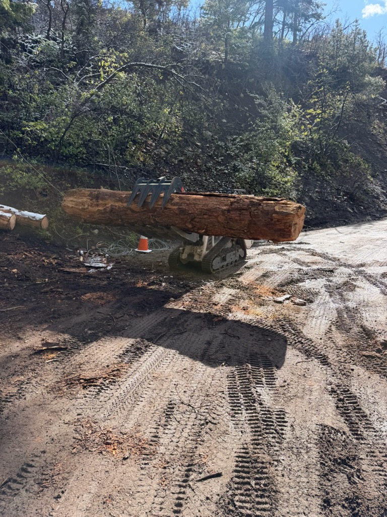 Track loader carrying massive log section with grapple attachment