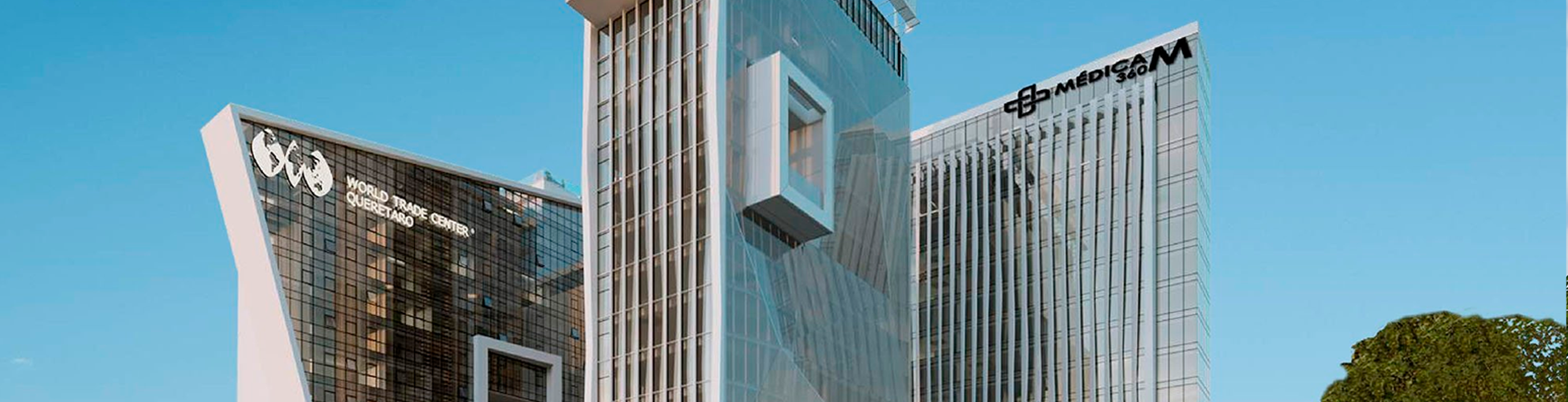 Momentum Real Estate