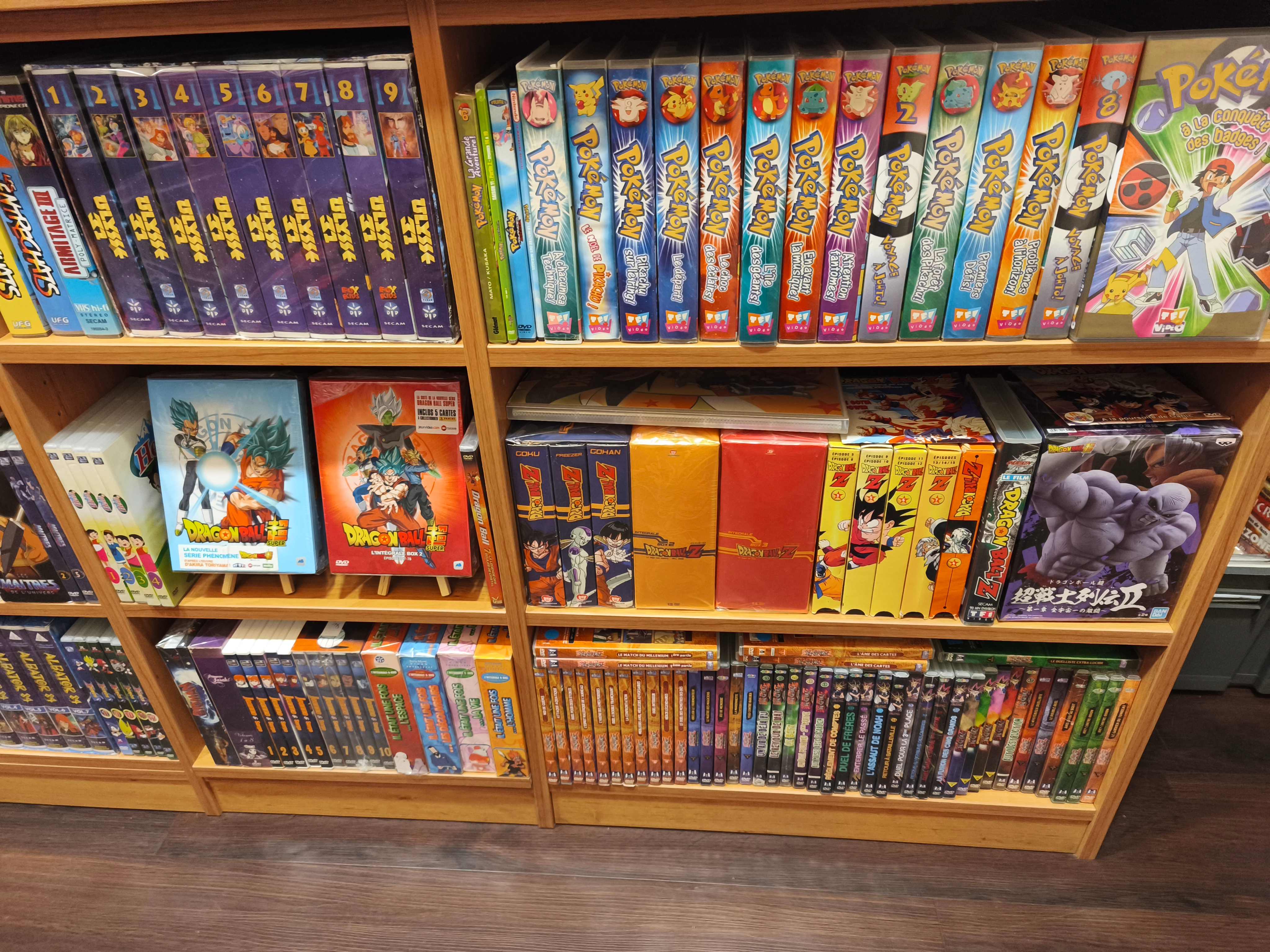 Collection animes DVD Pokemon et Dragon Ball Z