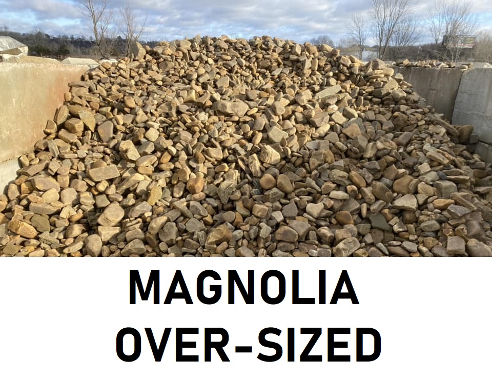 Magnolia Over-Sized