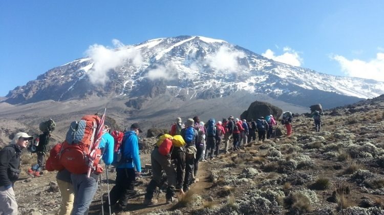 Hikers on the Marangu Route with Mount Kilimanjaro in the background