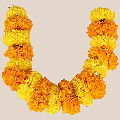 Marigold String - 1ft