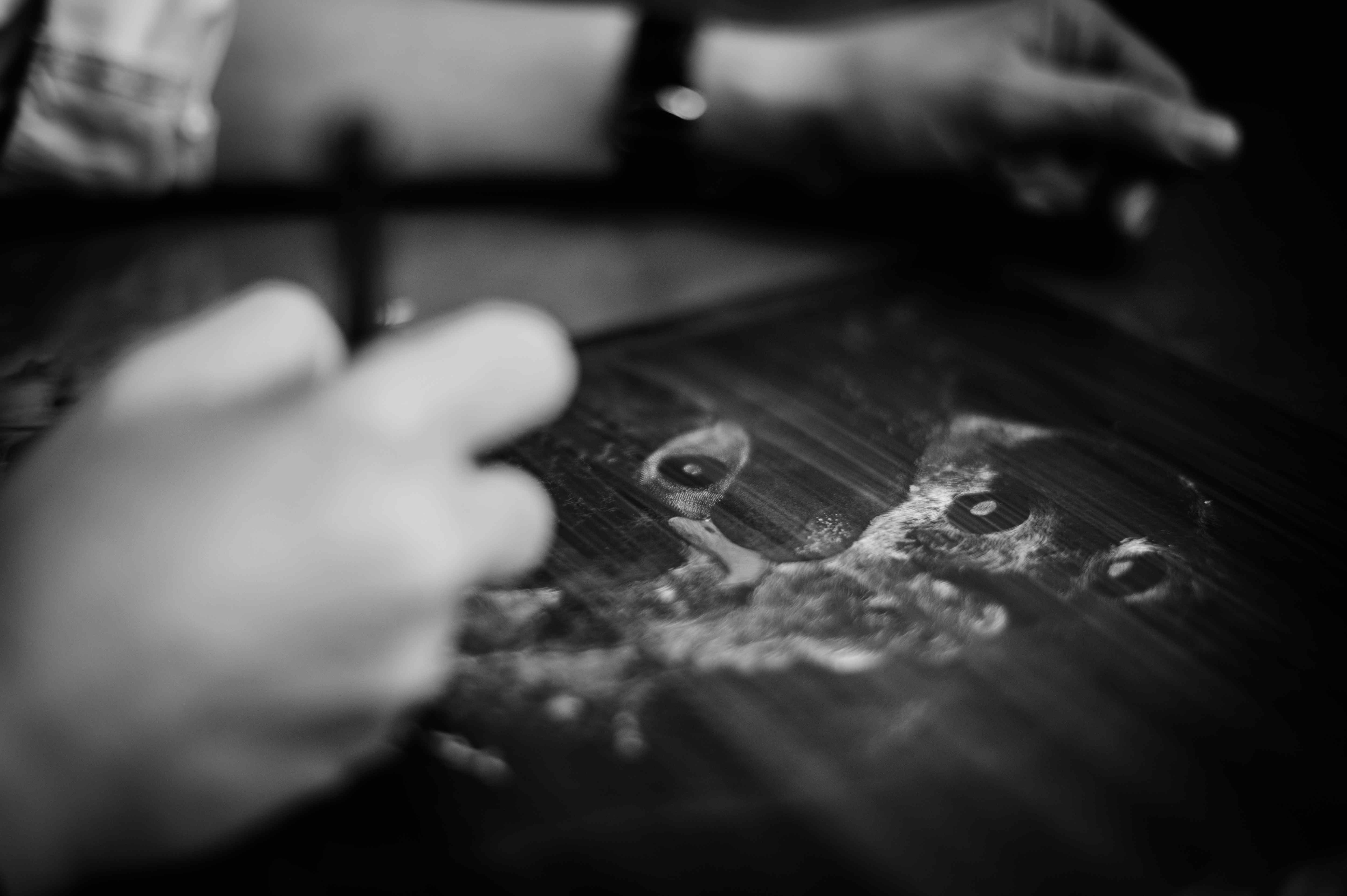 A hand reaching toward an inked owl plate in low light.