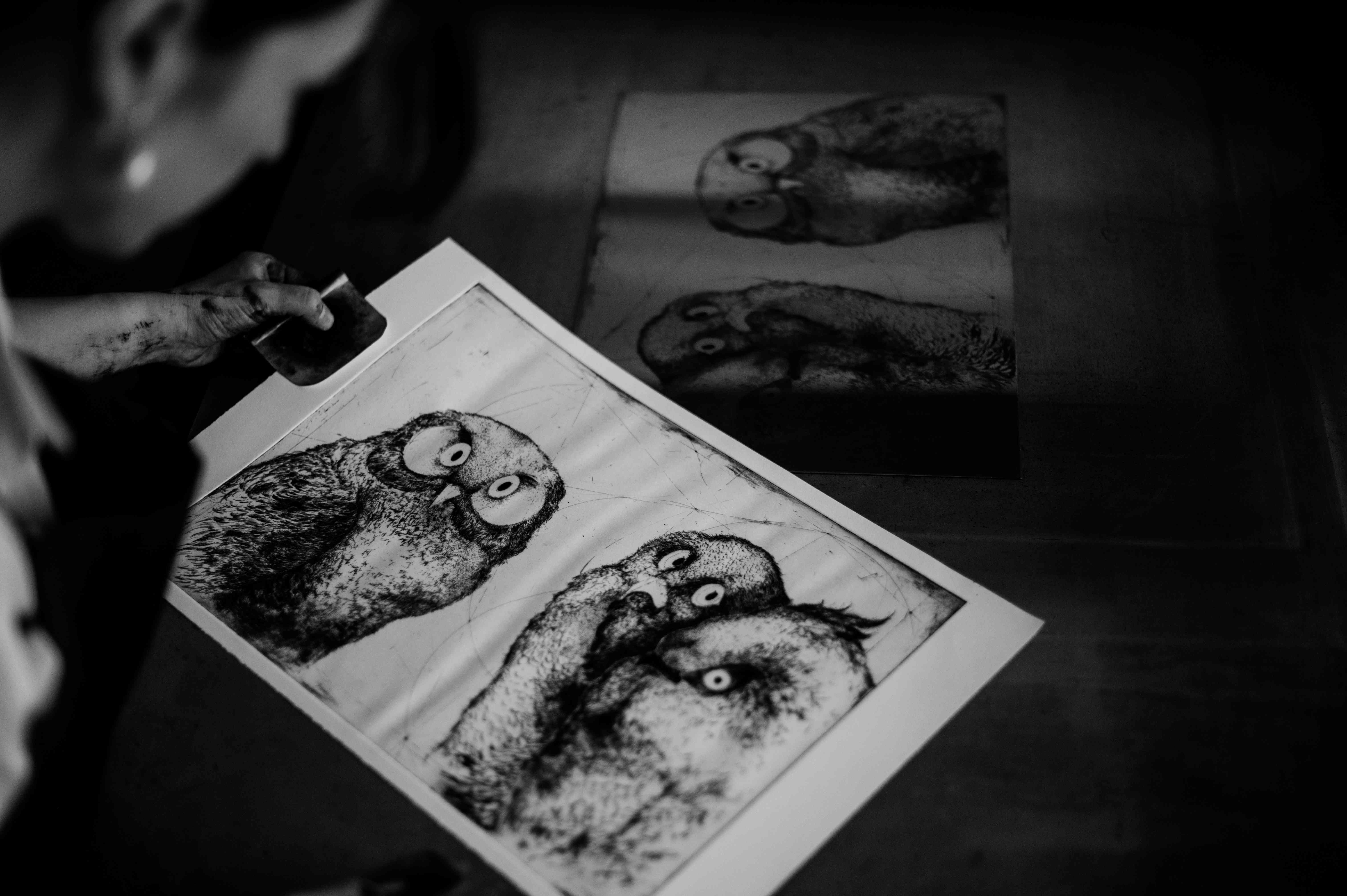 A finished owl print being lifted from the studio table.