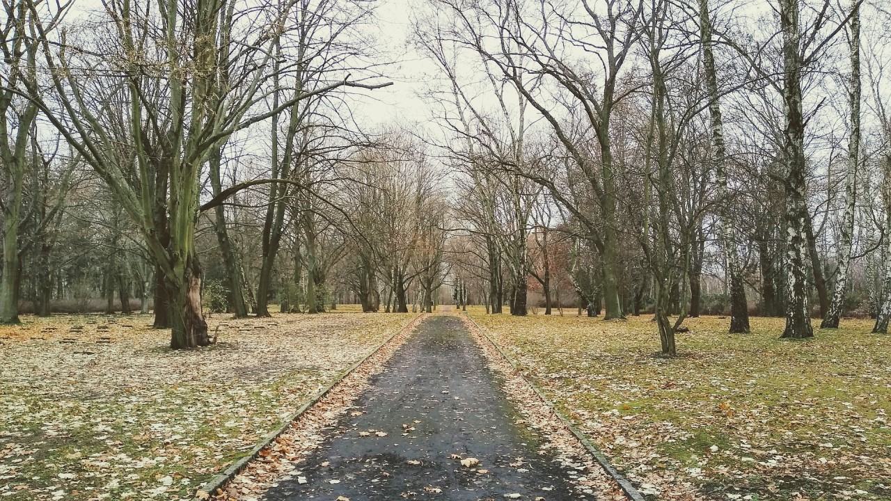 Park in Berlin-Marzahn – Mars Umzüge