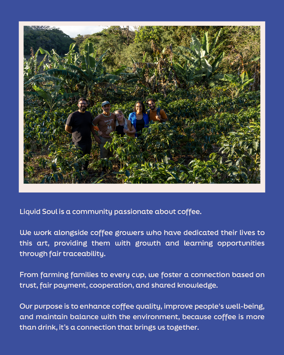 Liquid Soul team in coffee plantation