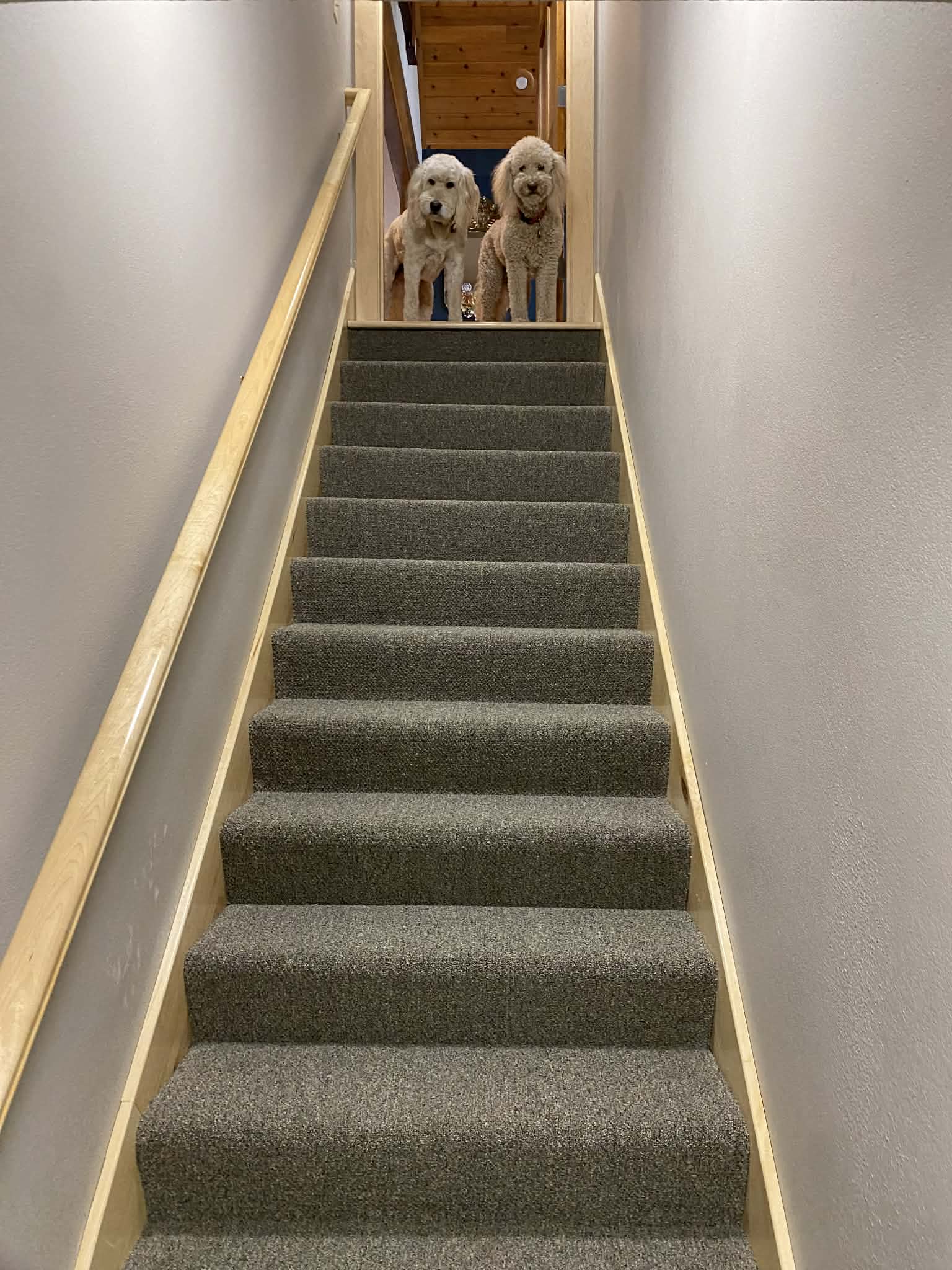Stairs flooring installation by HP Carpets