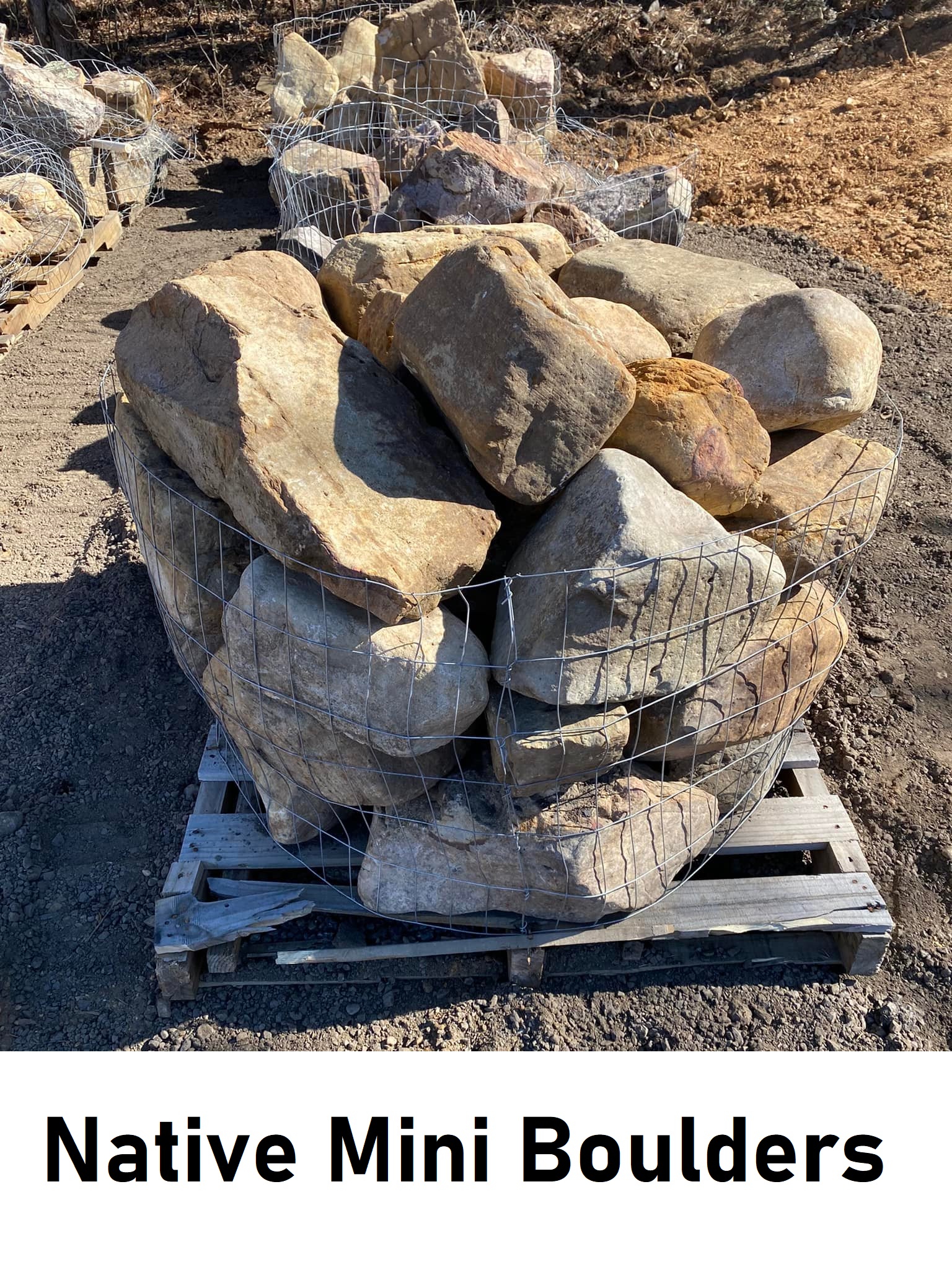 Native Mini Boulders