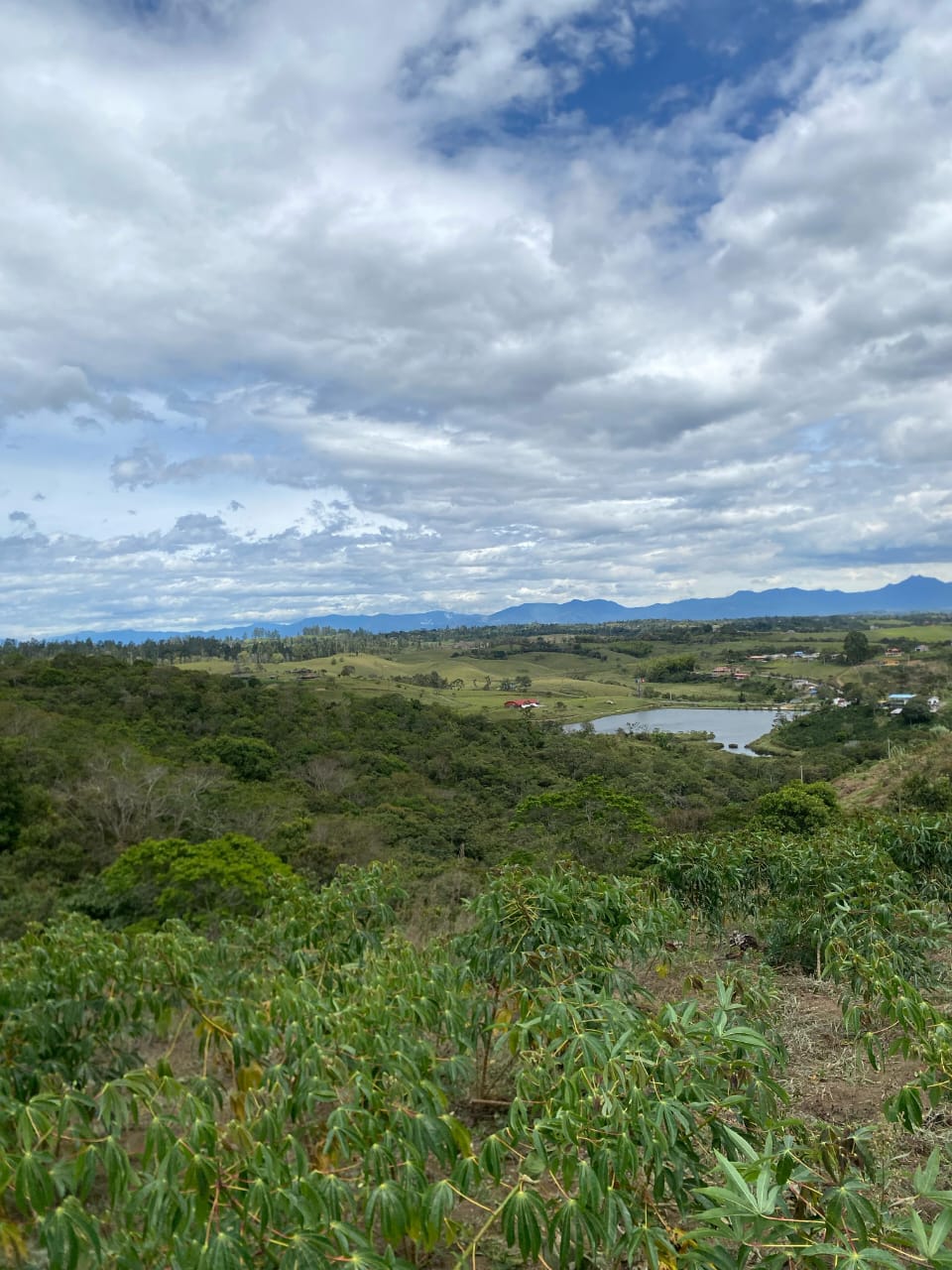 Mirador de la Marquesa