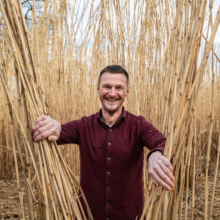 Miscanthus - Langenkamp
