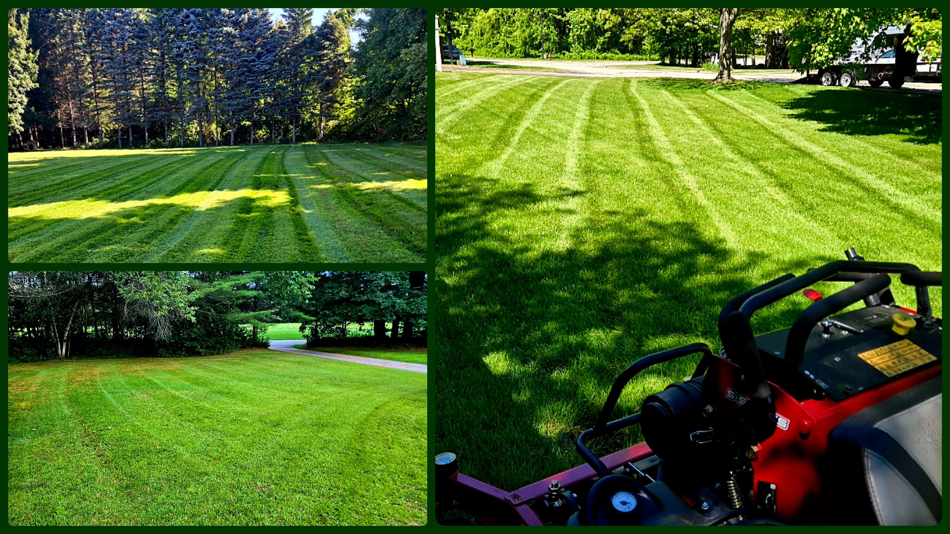 Lawn Care Services