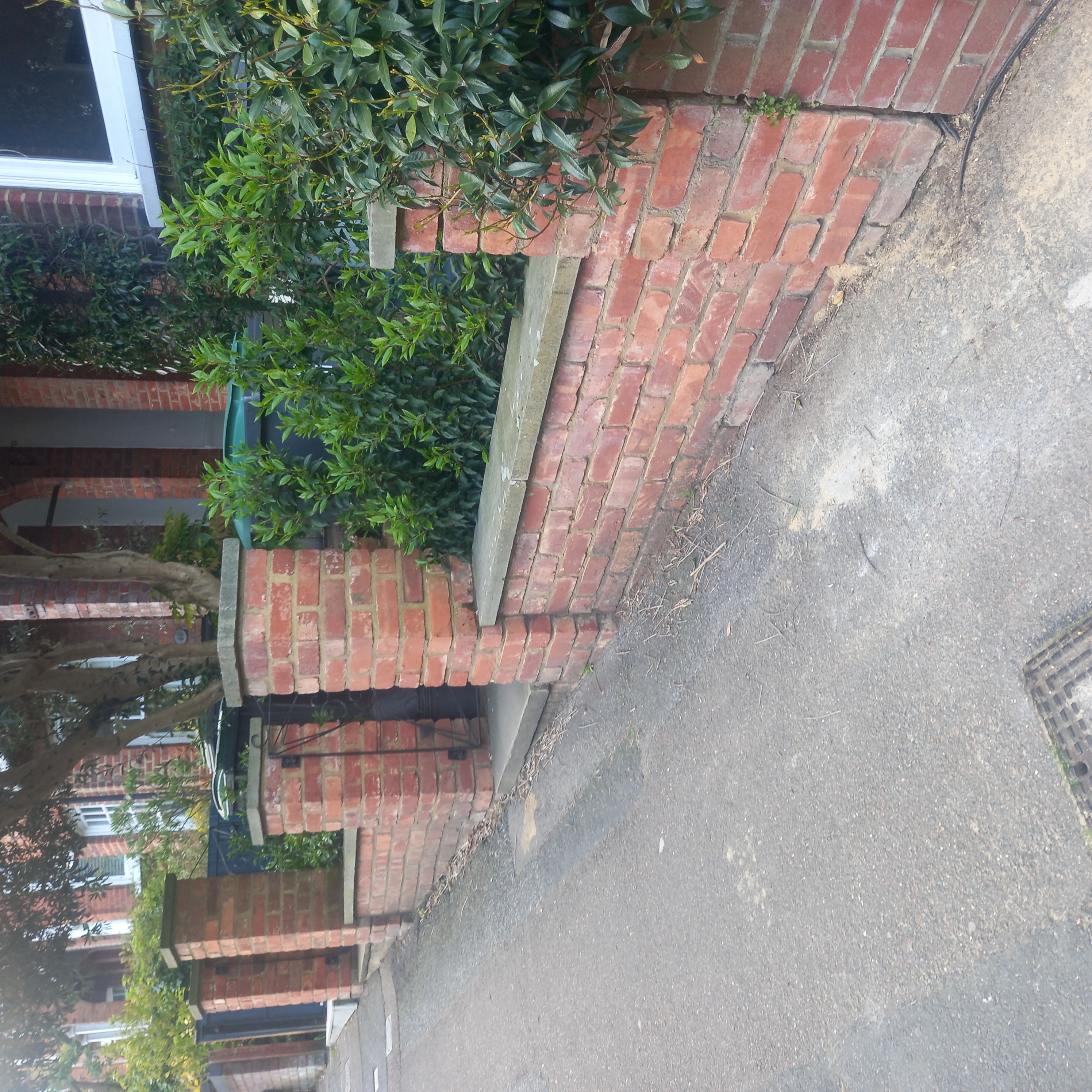 Red-brick garden wall with stone coping, brick steps and piers with leafy planting