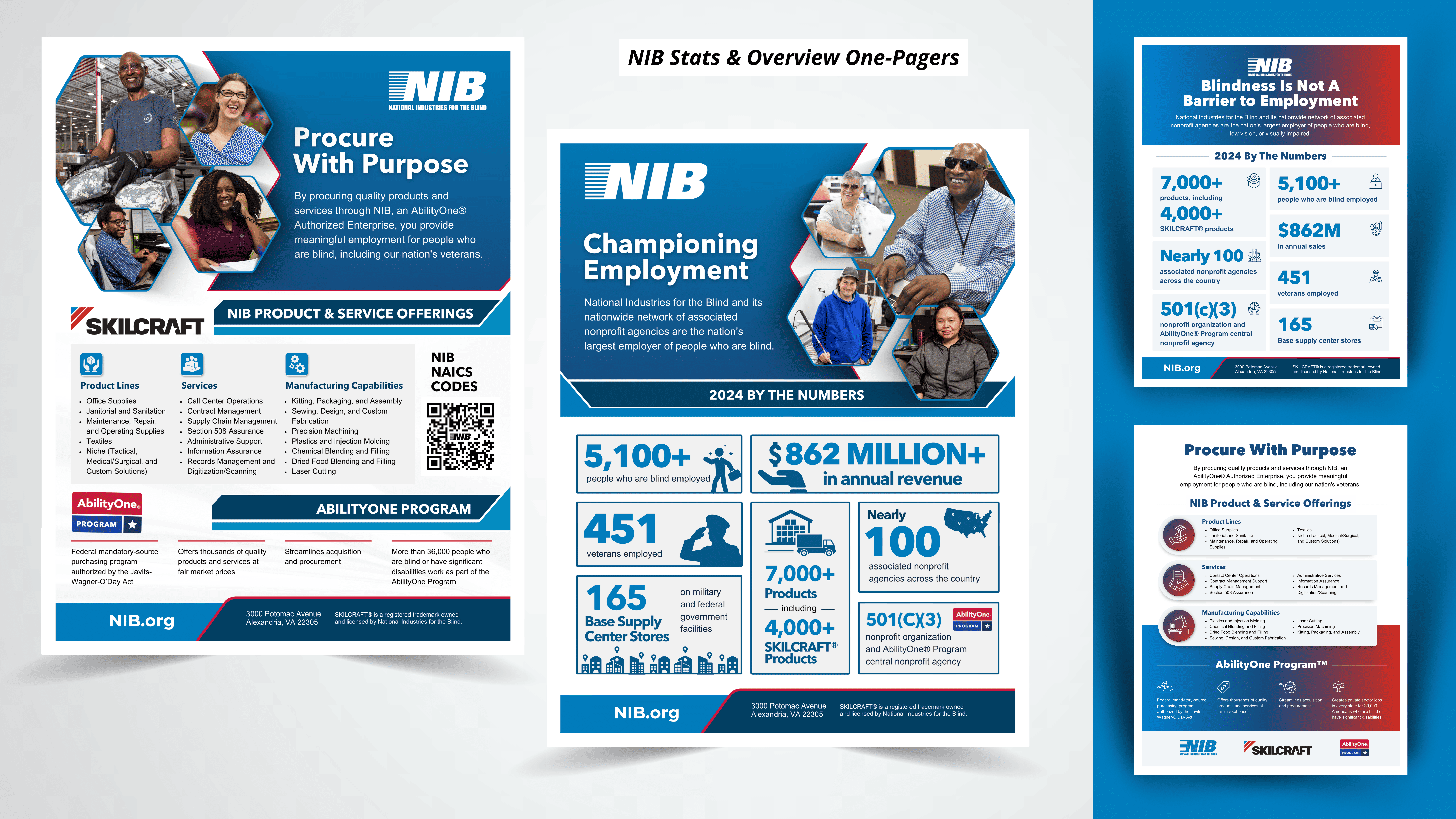 NIB statistics and overview one-pagers with key organizational metrics and service capabilities