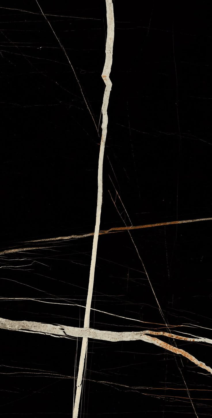 Nero Saint Laurent black marble